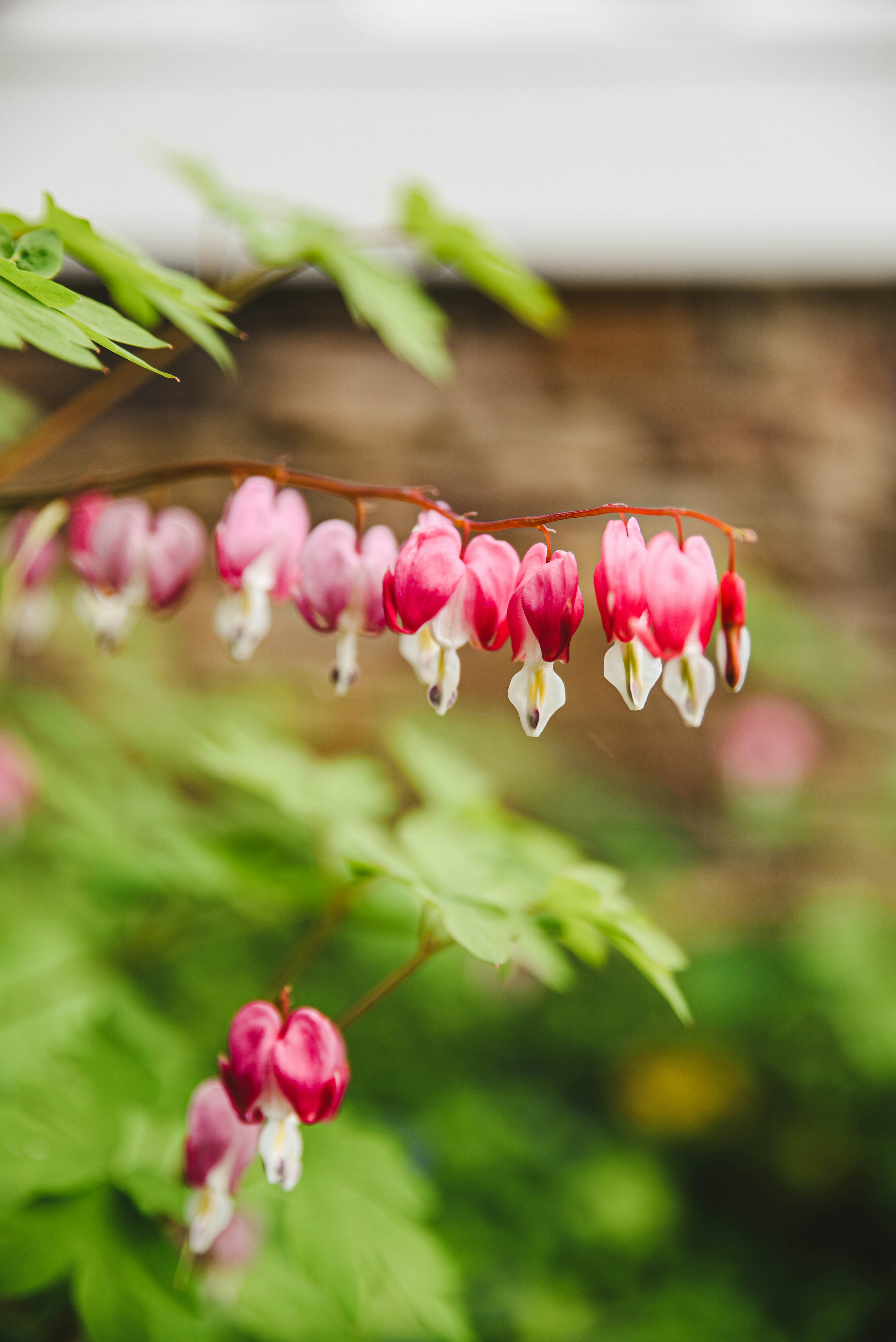 Photo by joyshotsphotography