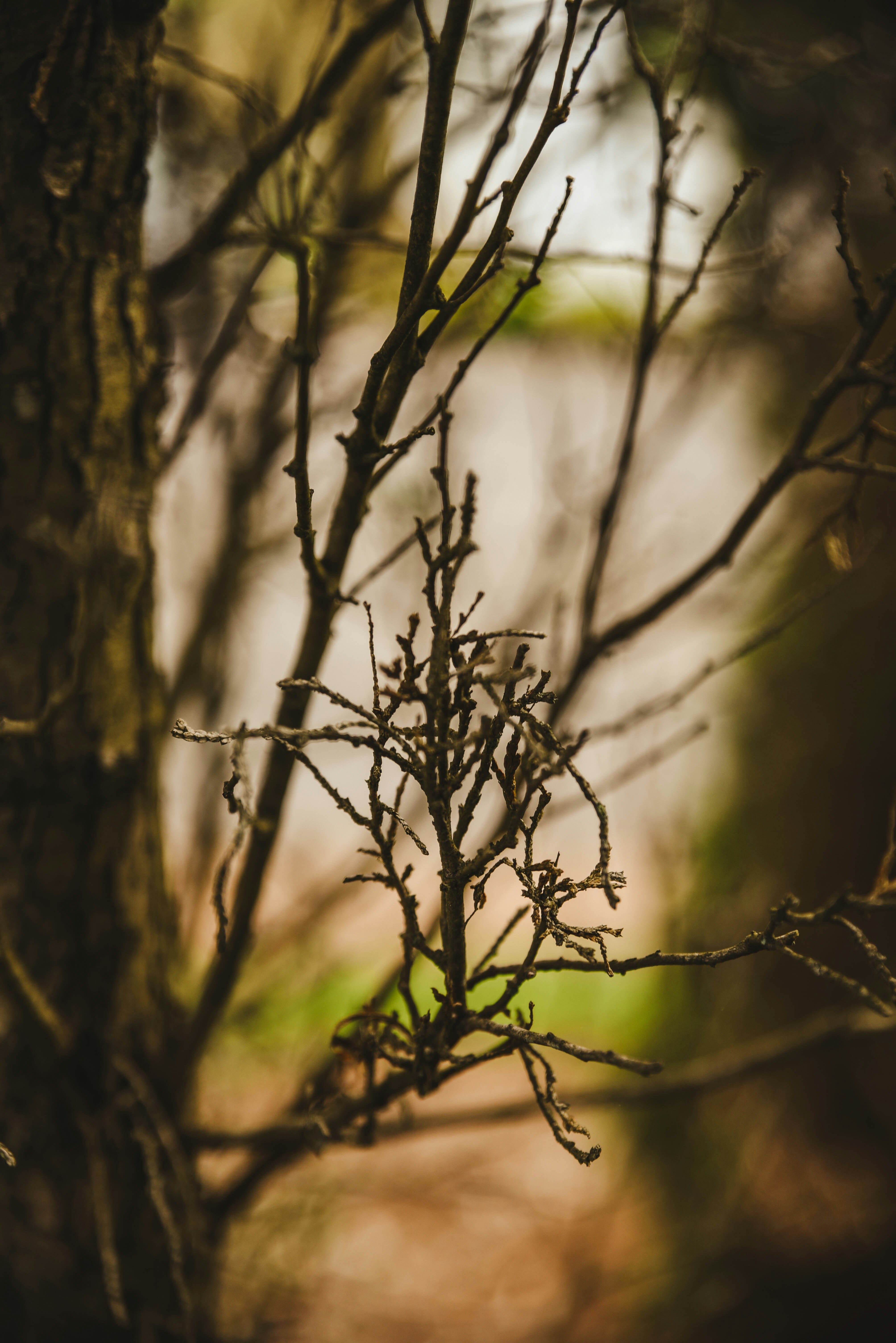 Photo by joyshotsphotography