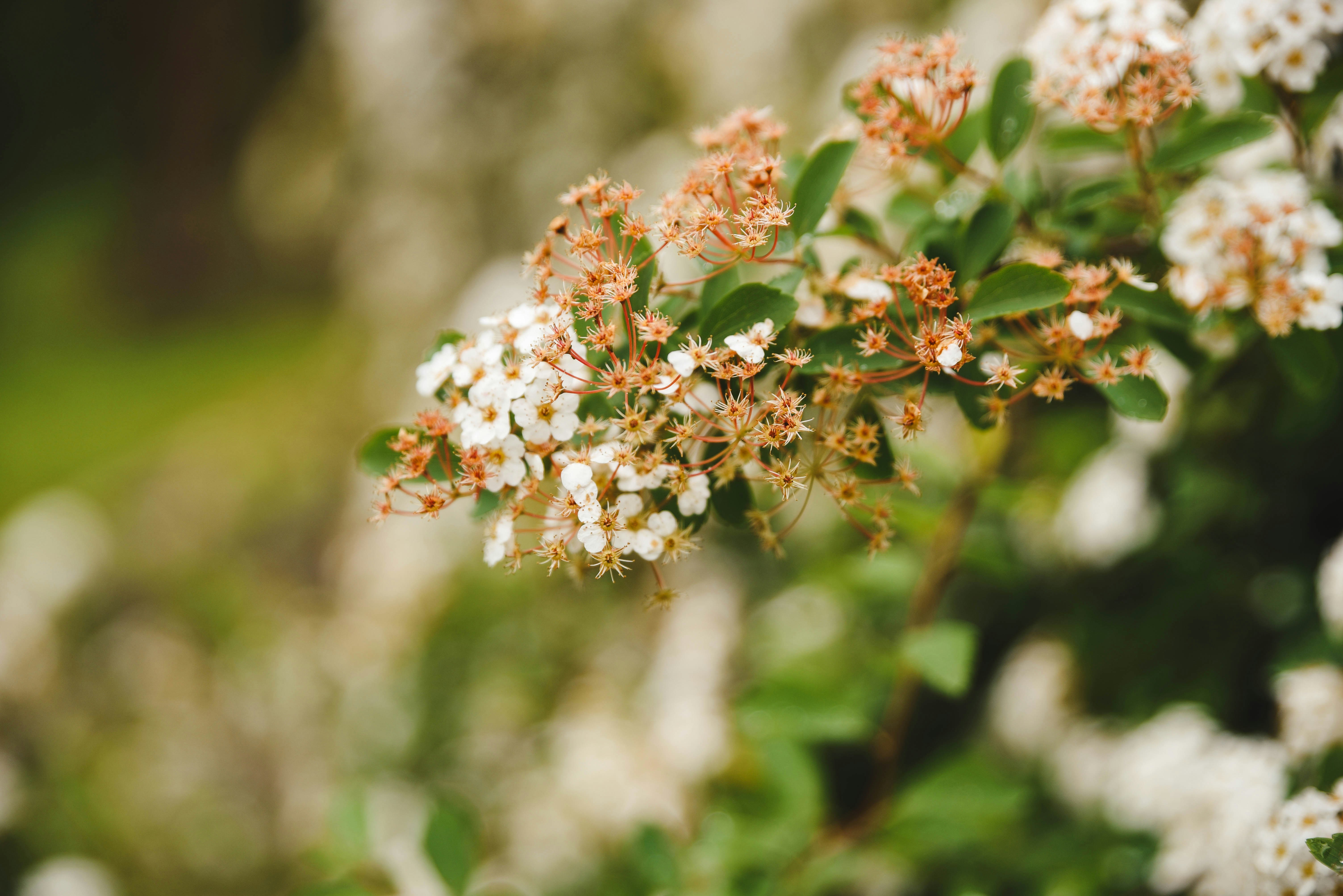 Photo by joyshotsphotography