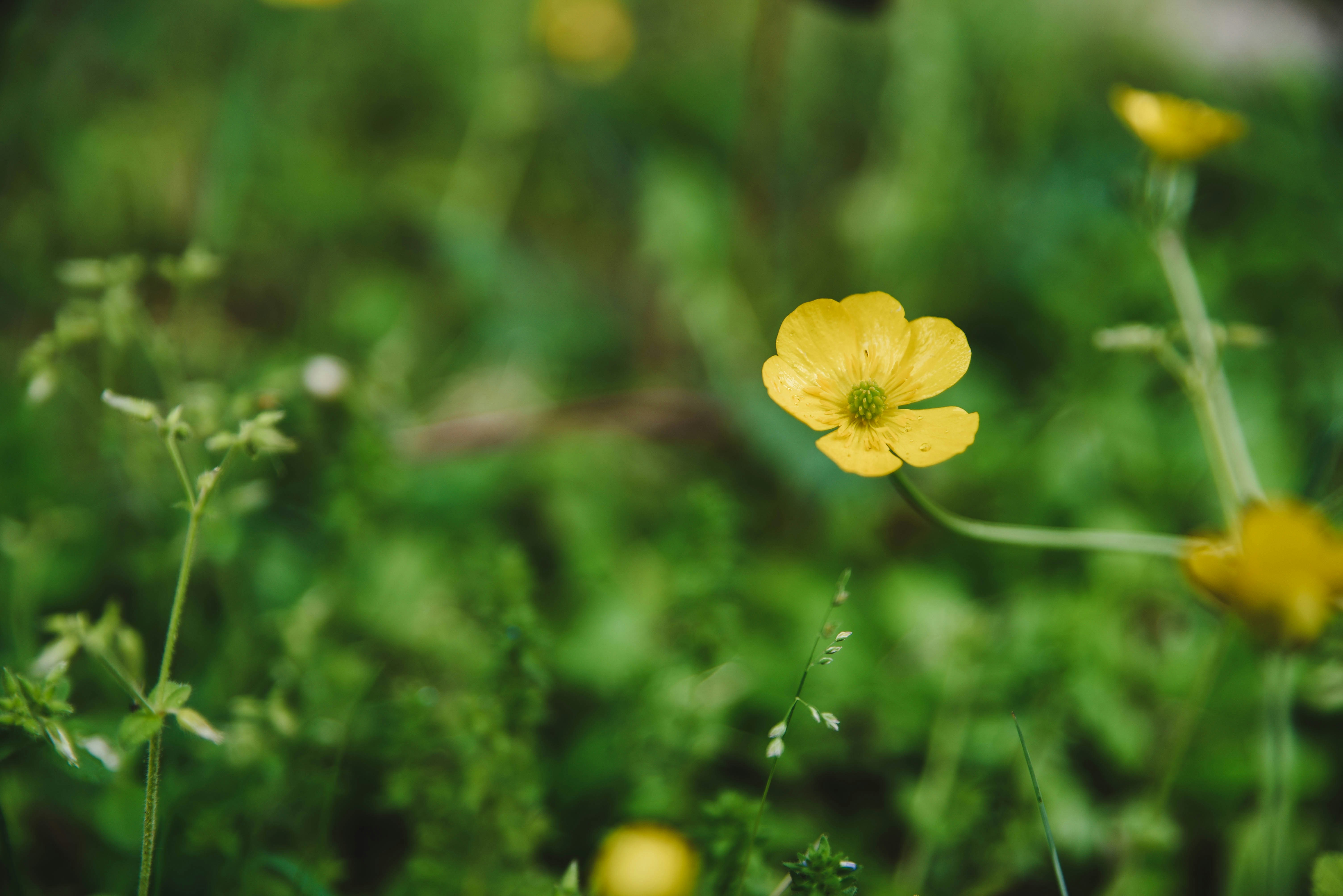 Photo by joyshotsphotography