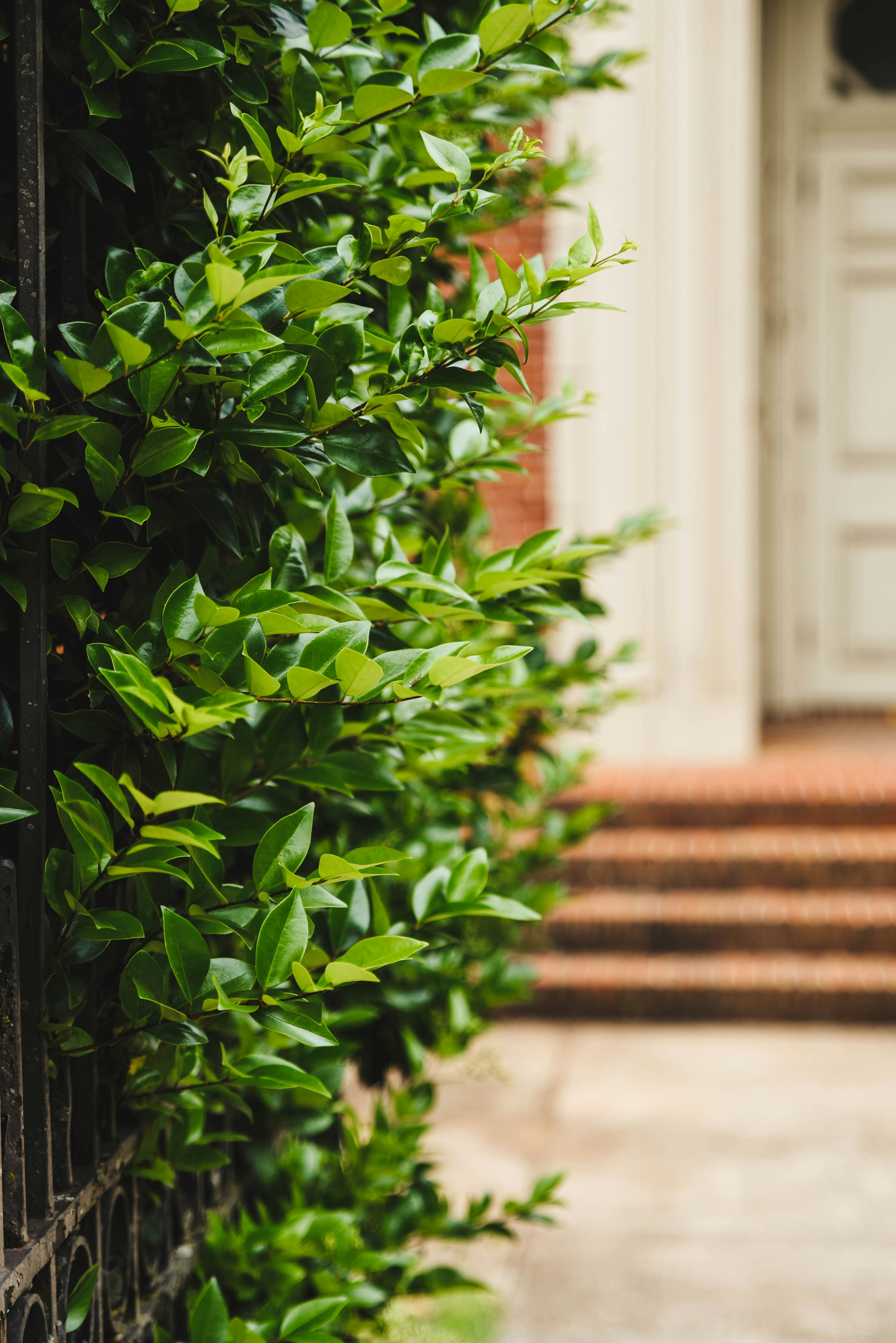 Photo by joyshotsphotography