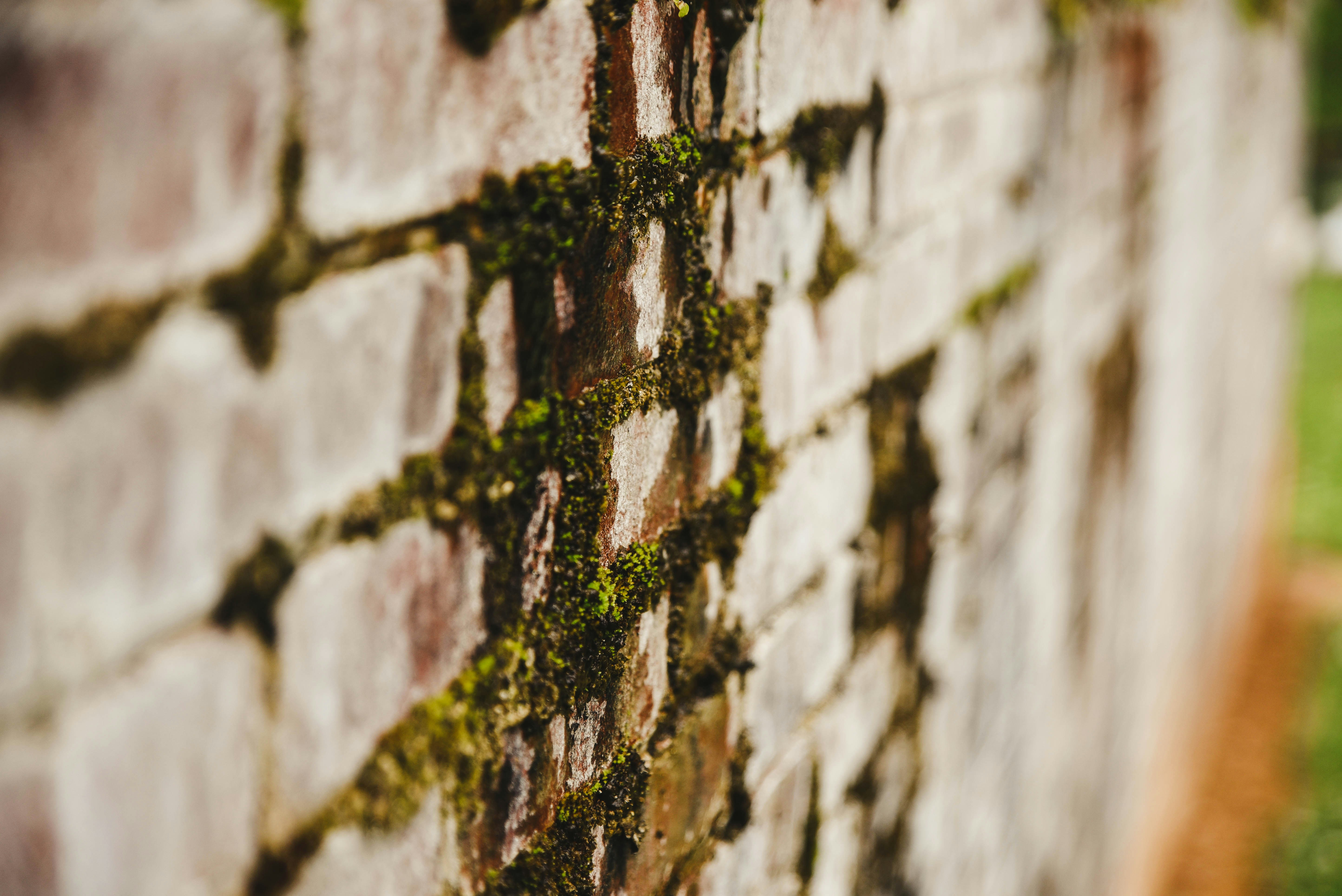 green and white brick wall