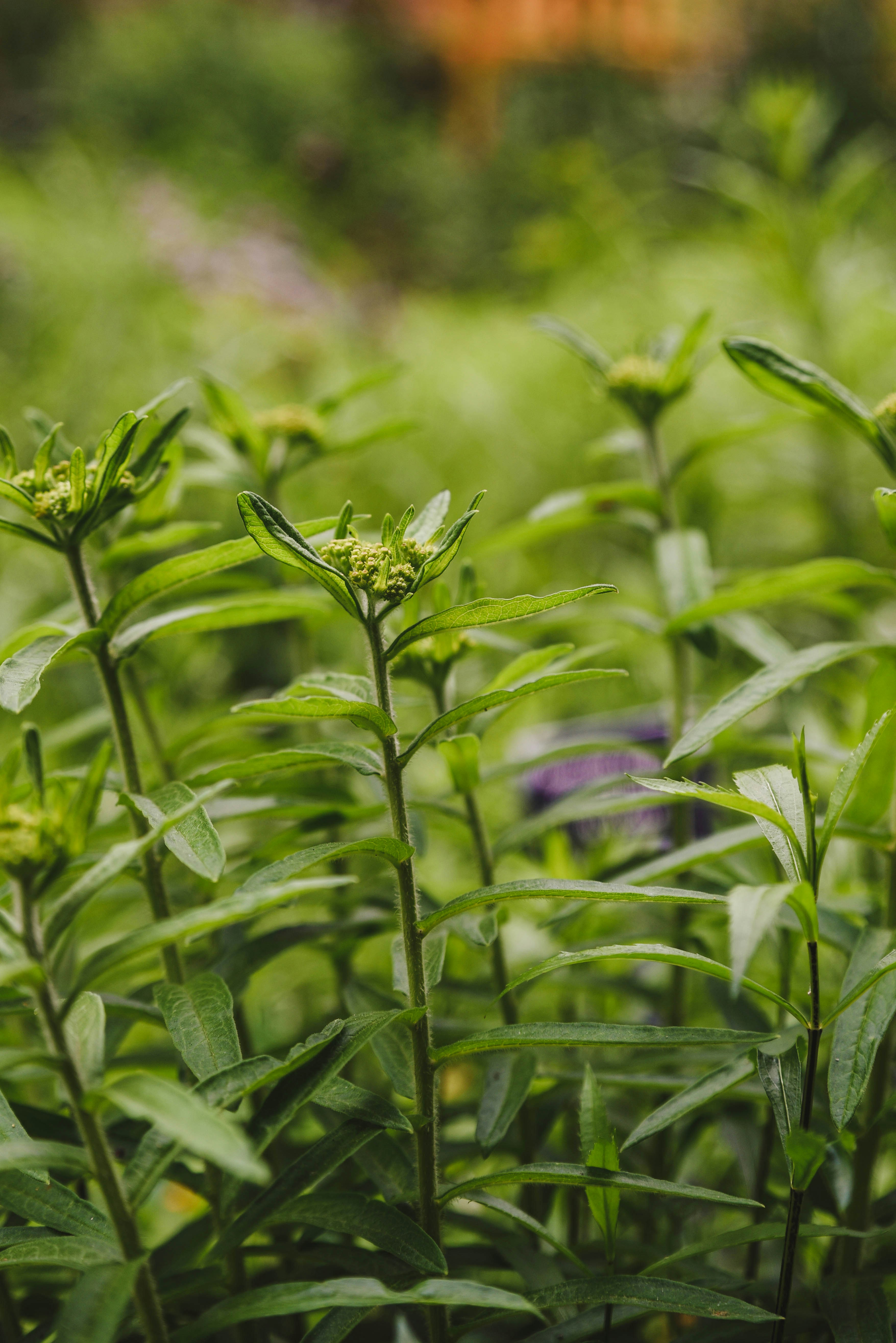 Photo by joyshotsphotography