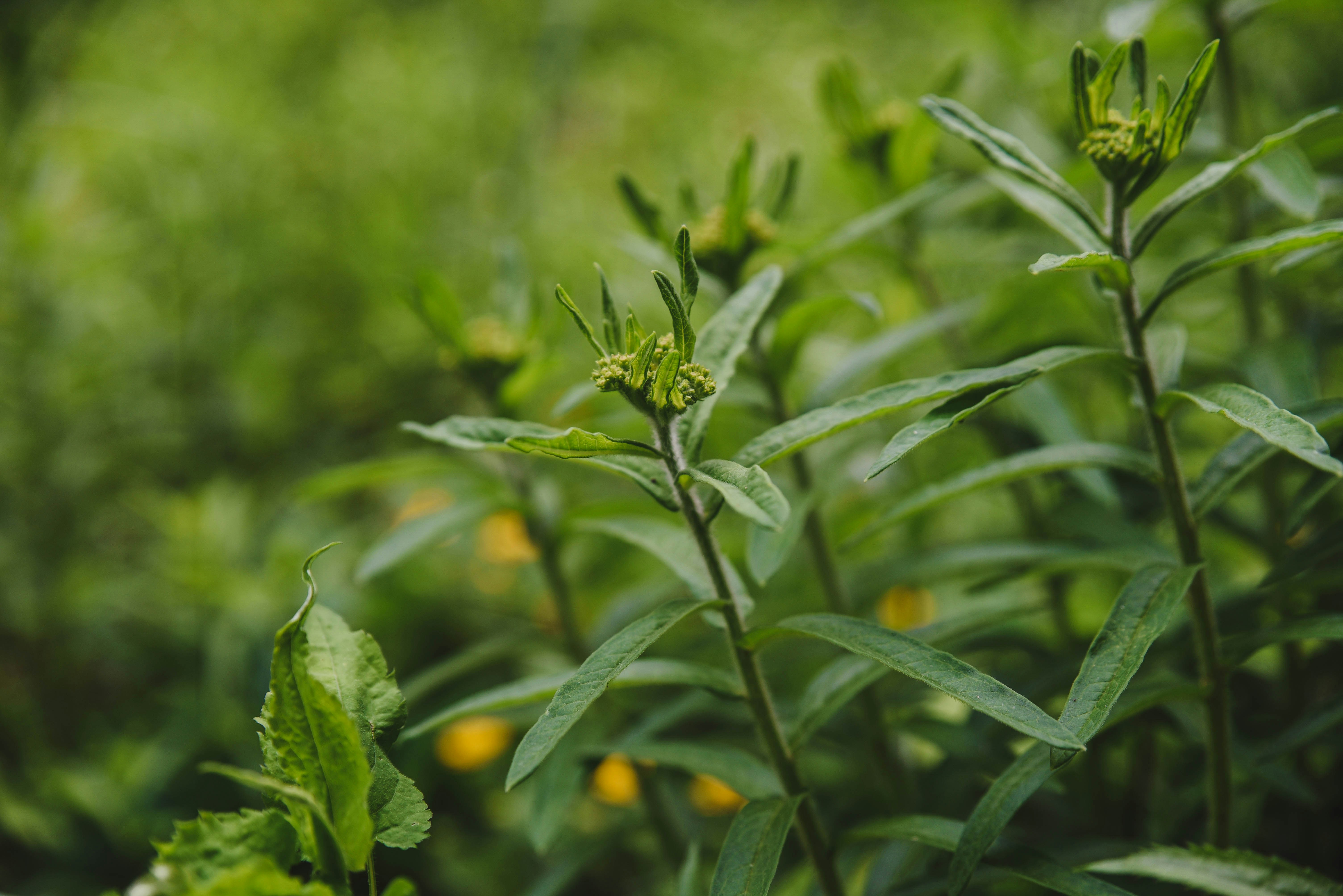 Photo by joyshotsphotography