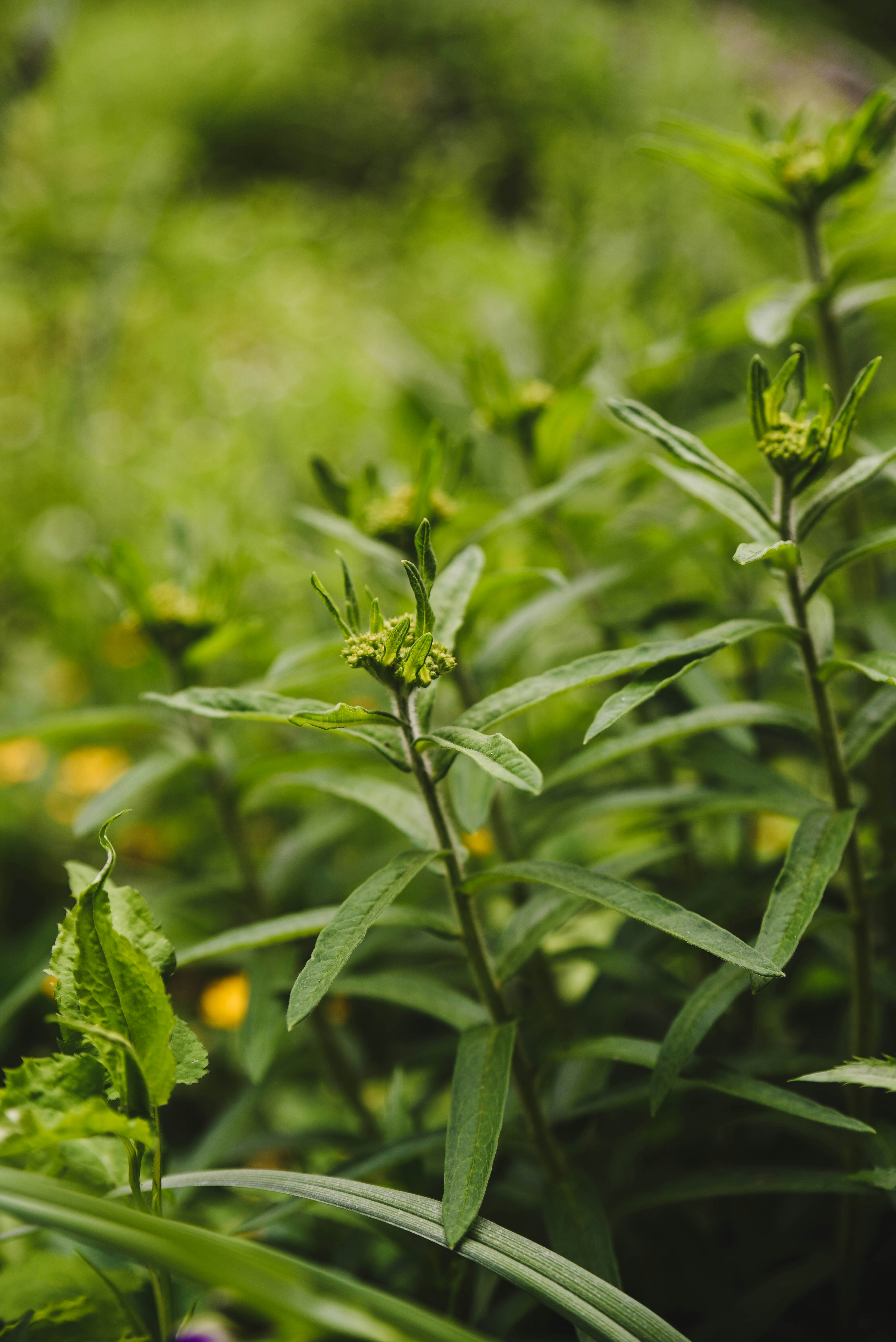 Photo by joyshotsphotography