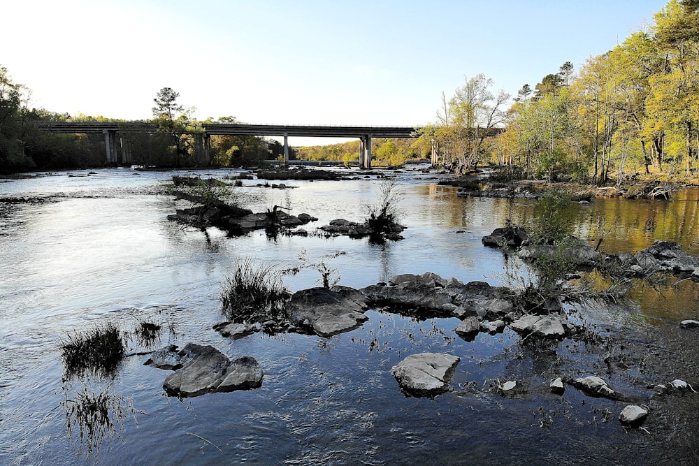 gray concrete bridge over river