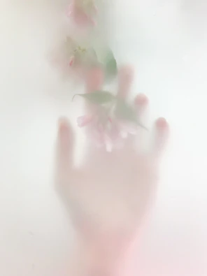 white and green flower on white surface