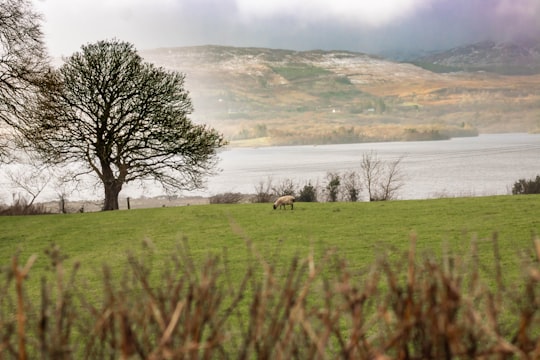 Lough Eske things to do in Donegal Town