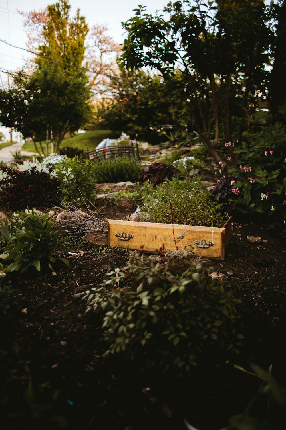 brown wooden box on green plants