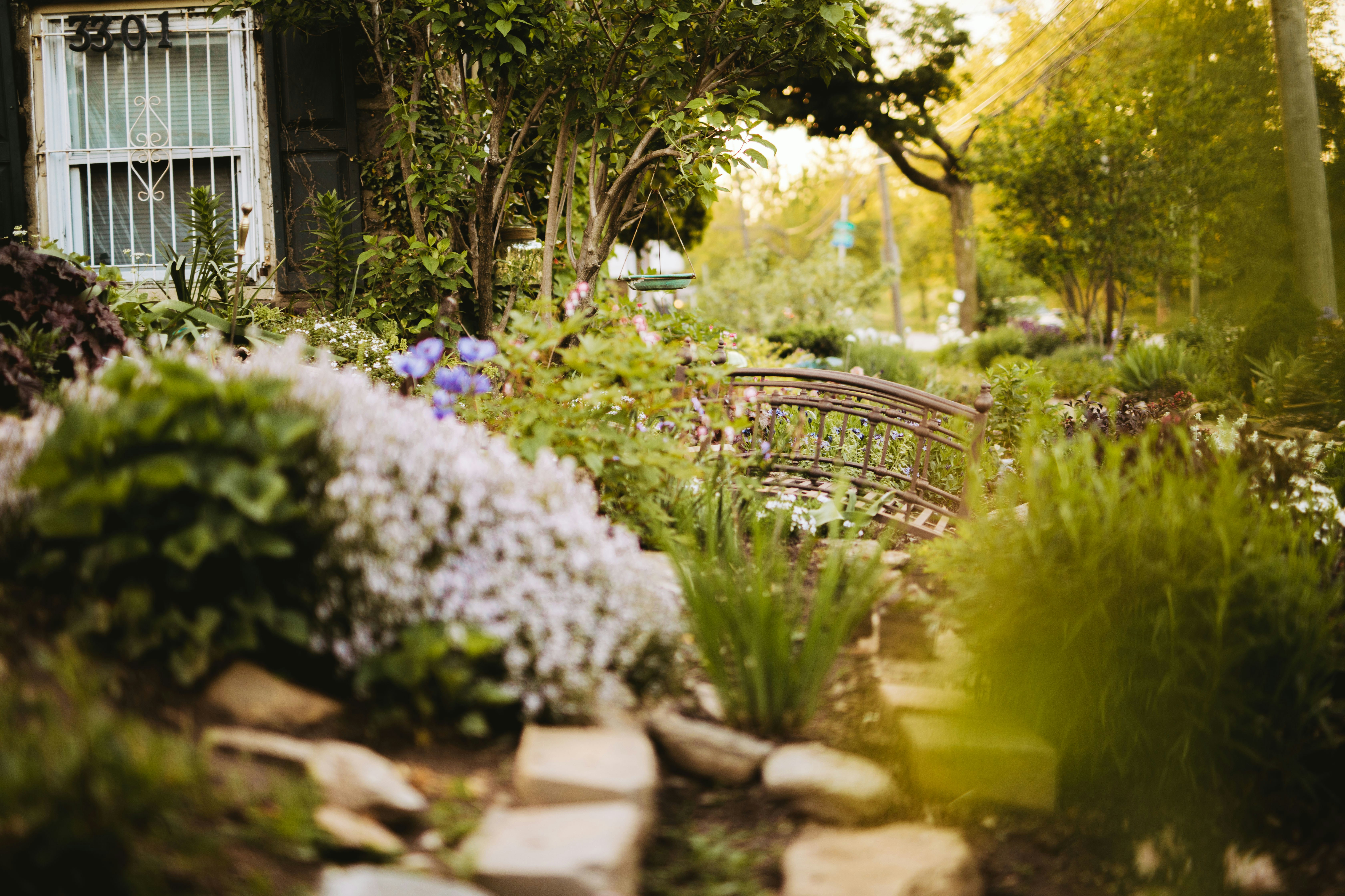 Photo by studiostarling