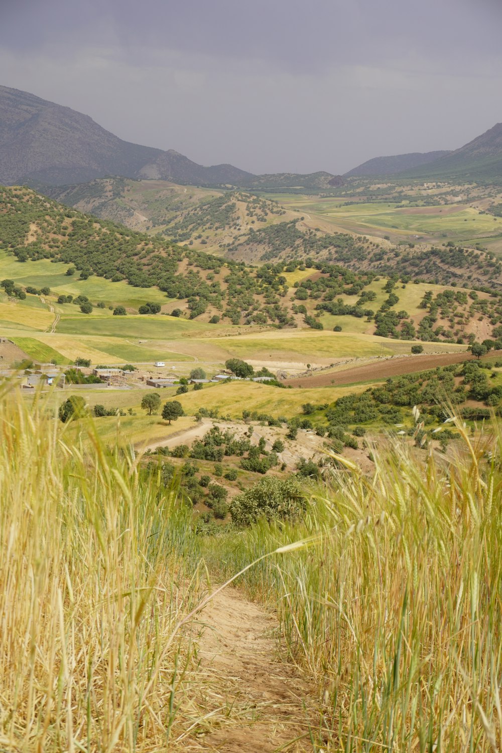 green grass field near mountain during daytime