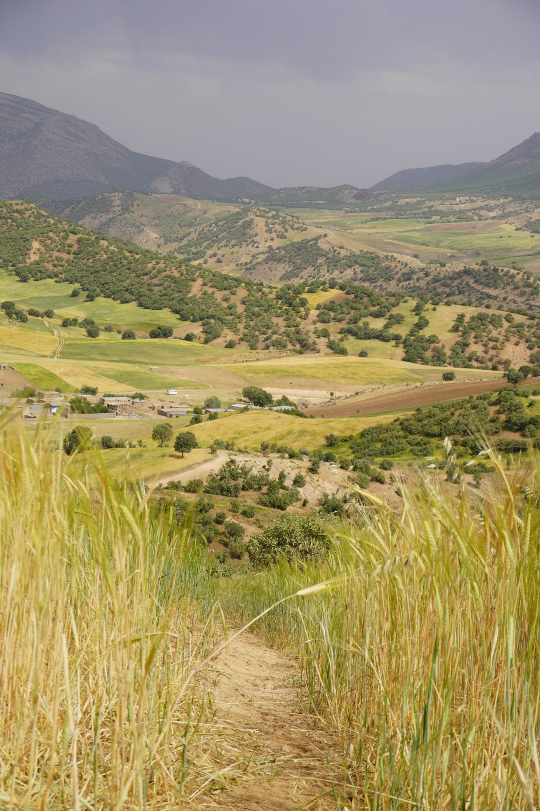 Plain photo spot Luristan Borujerd