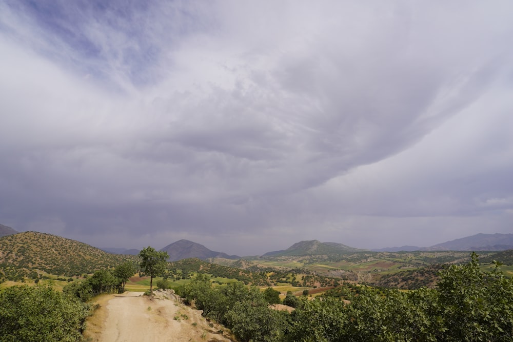 green trees and mountains under white clouds and blue sky during daytime