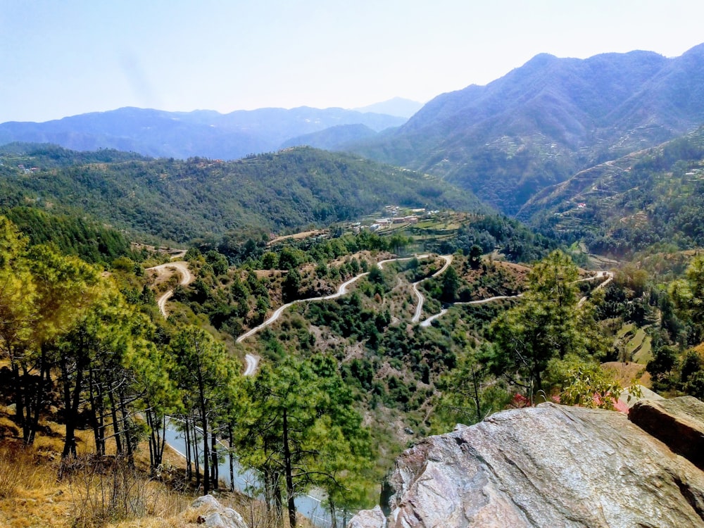 green trees on mountain during daytime