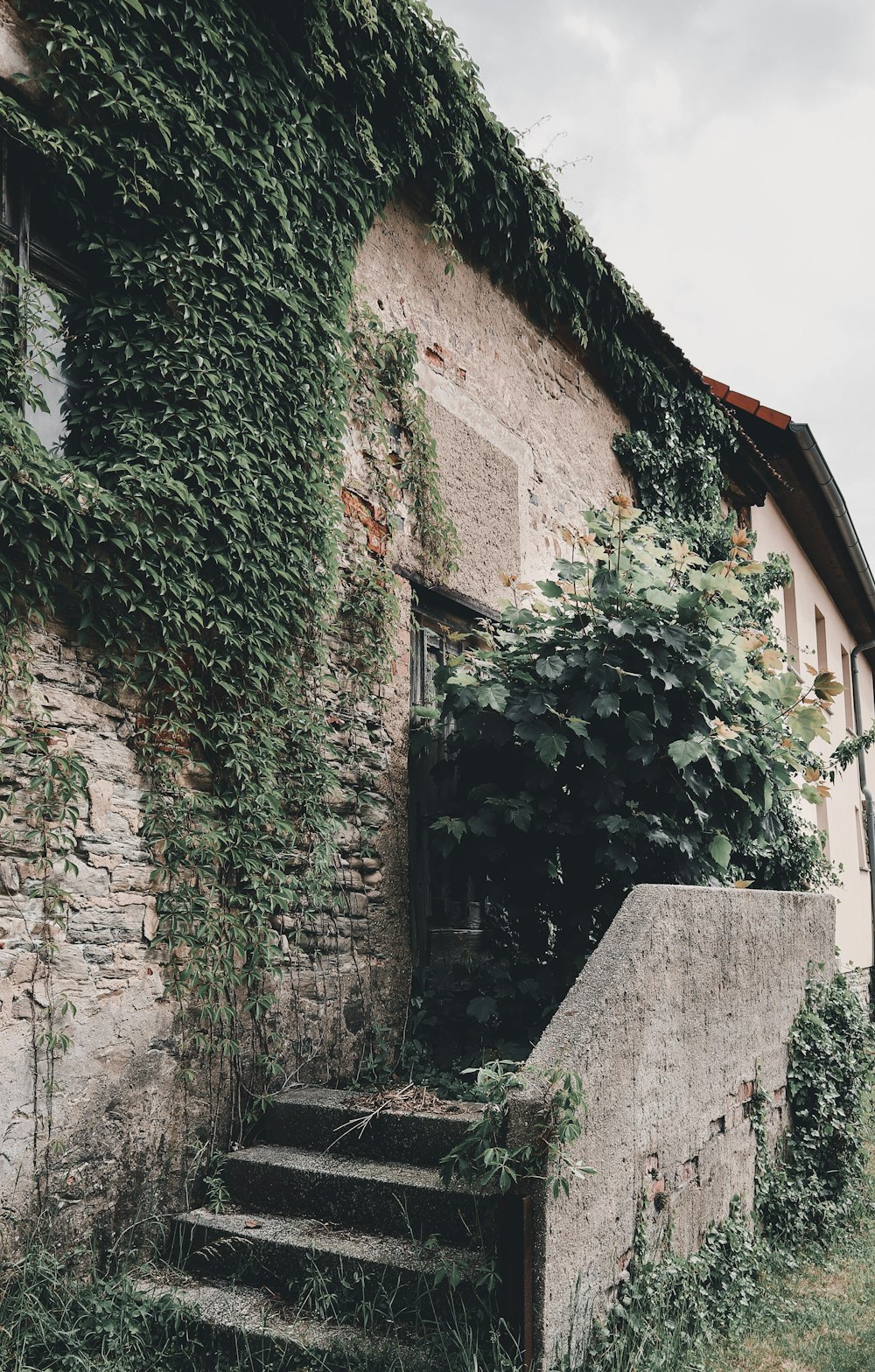 green and brown concrete house