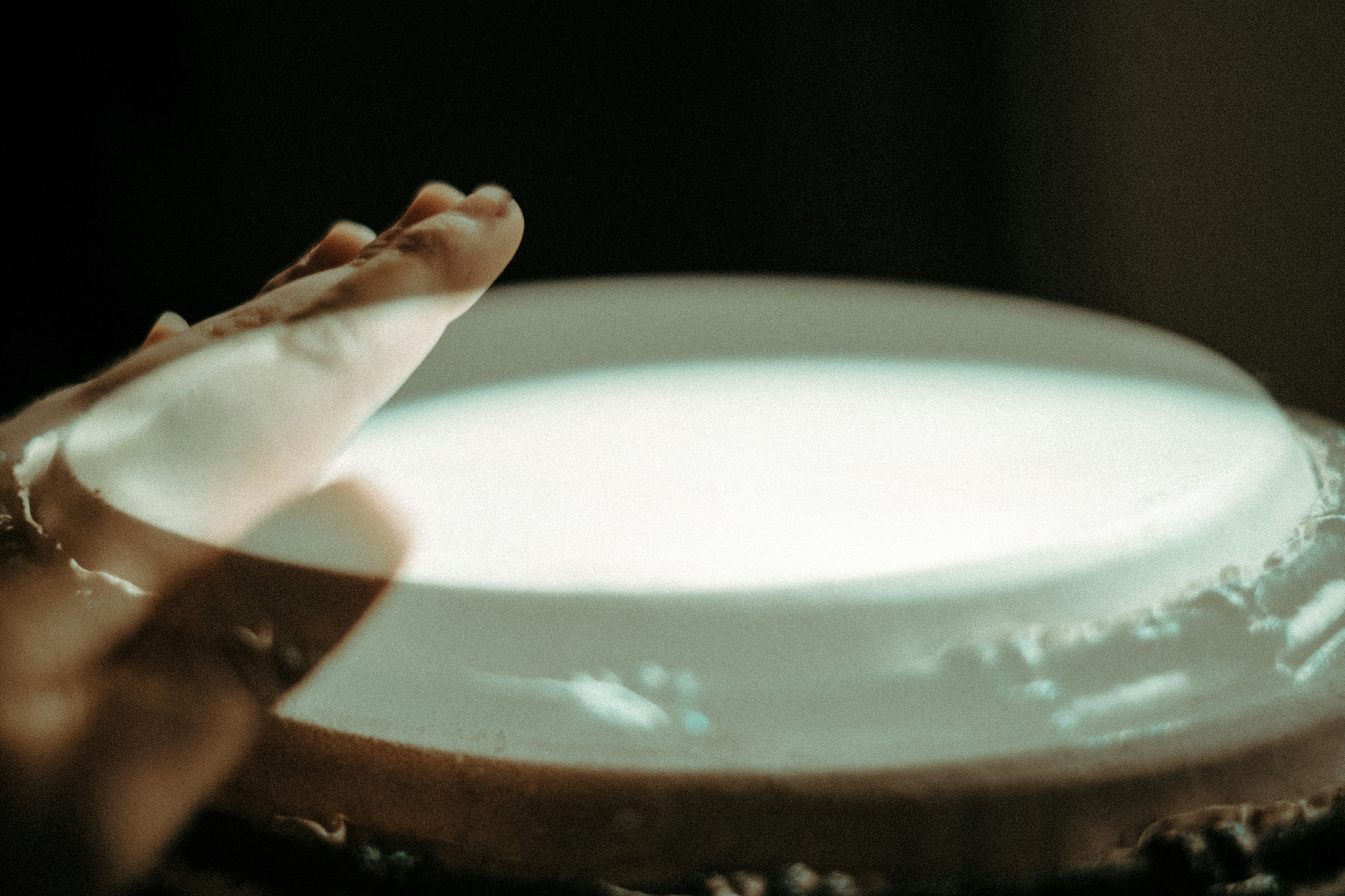 person holding white round plate