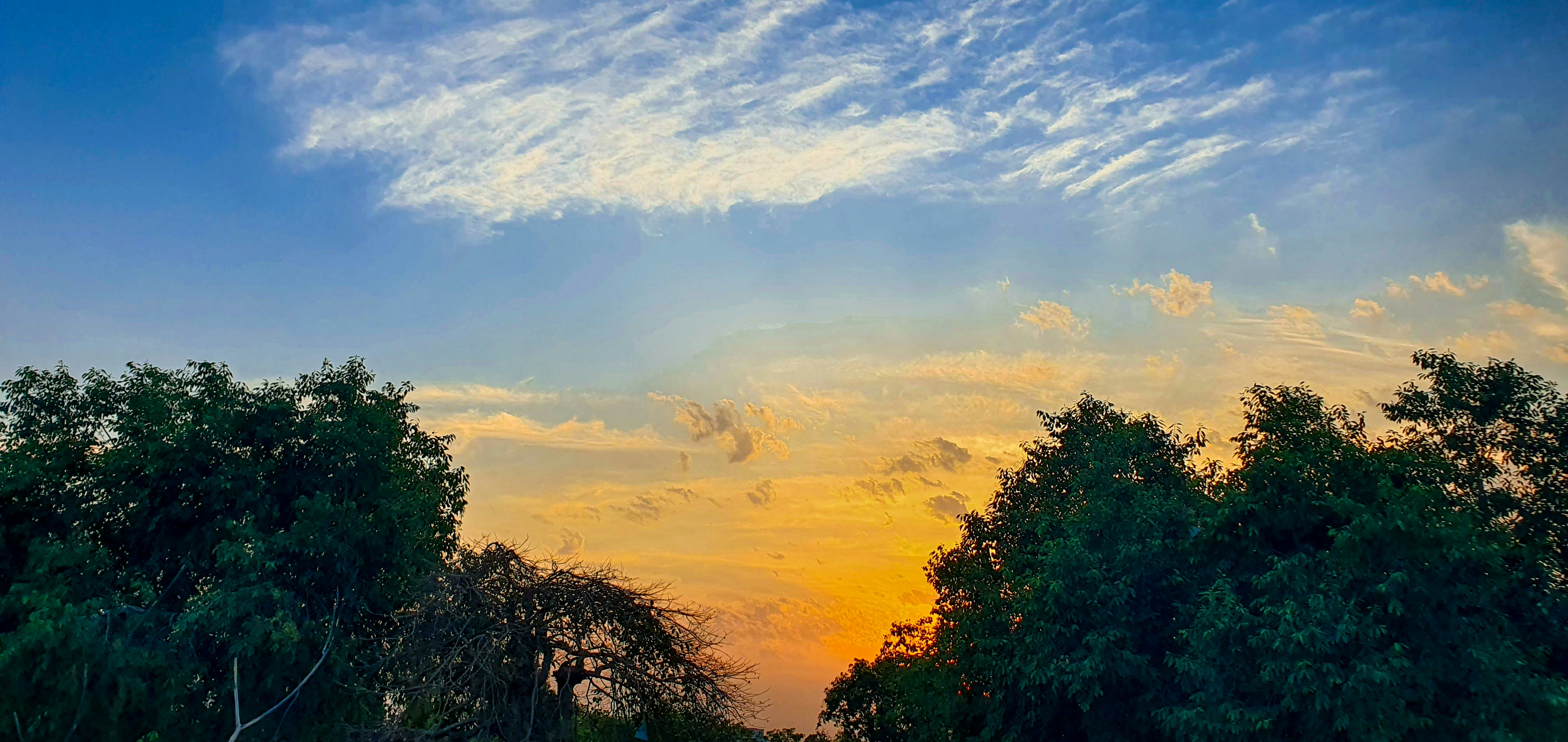 Photo by joshihardik710