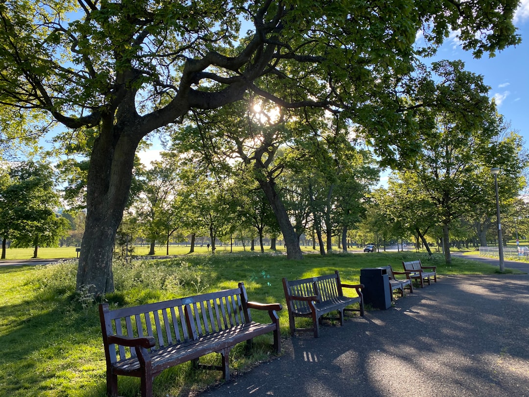 Nature reserve photo spot Bruntsfield Links Scotland