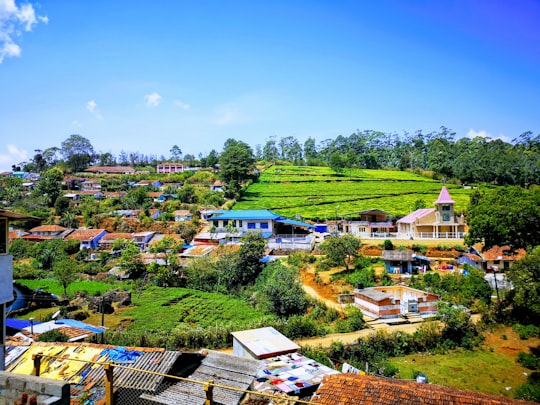 aerial view of houses and trees during daytime in Kotagiri India