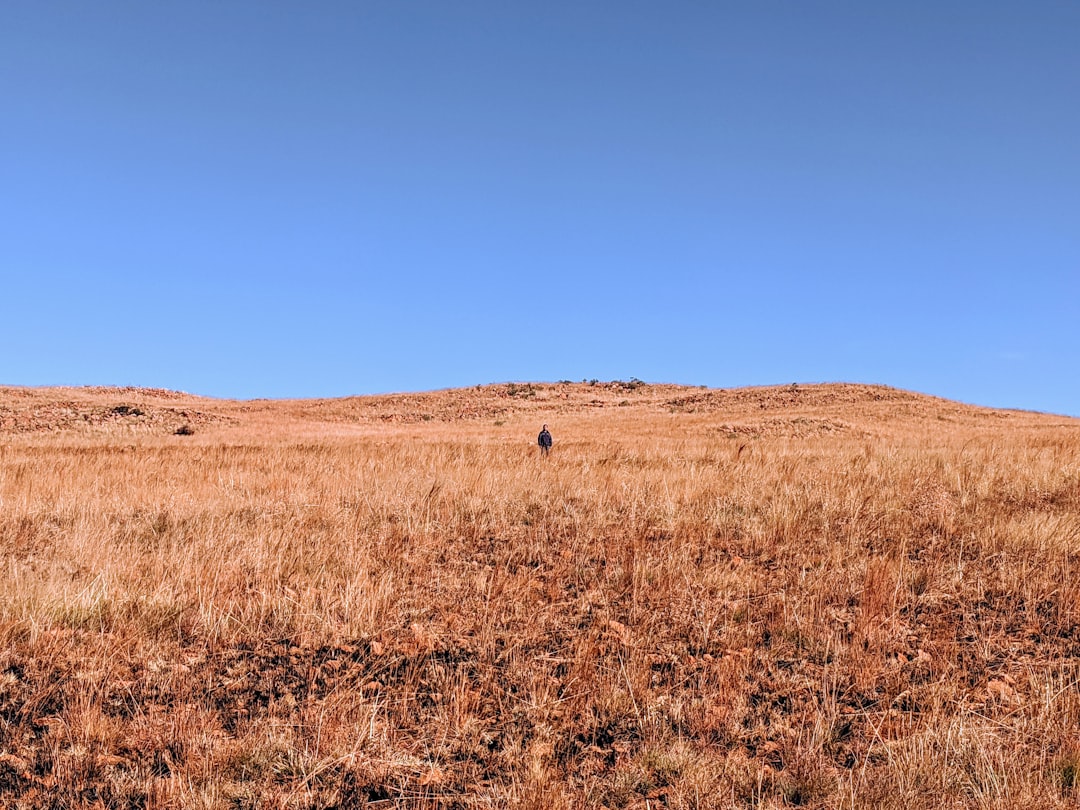 Plain photo spot Zakariyya Park South Africa