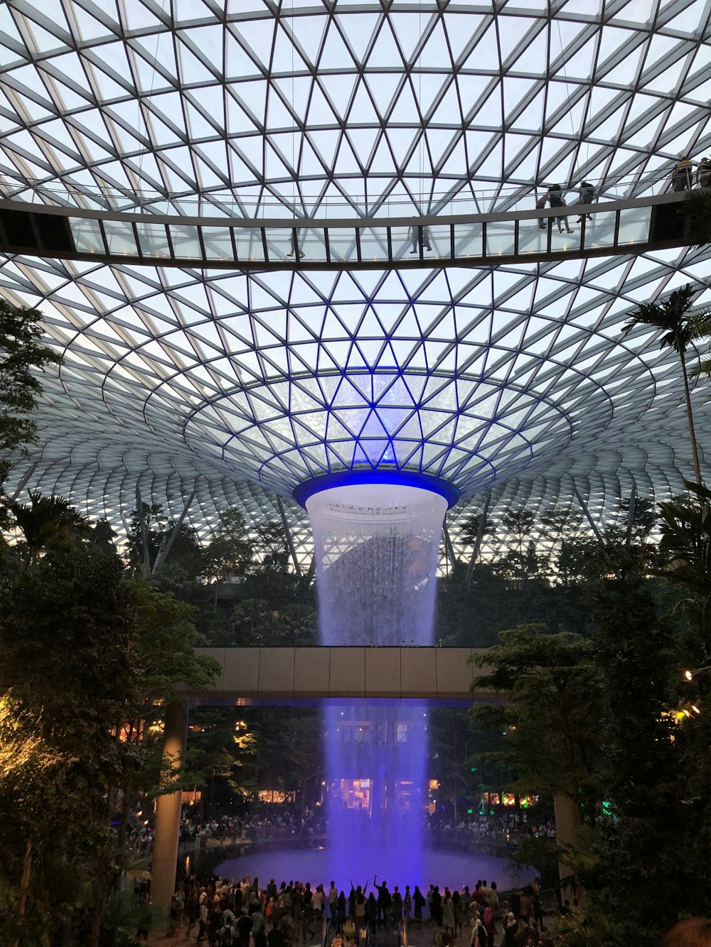 green trees near white building during nighttime