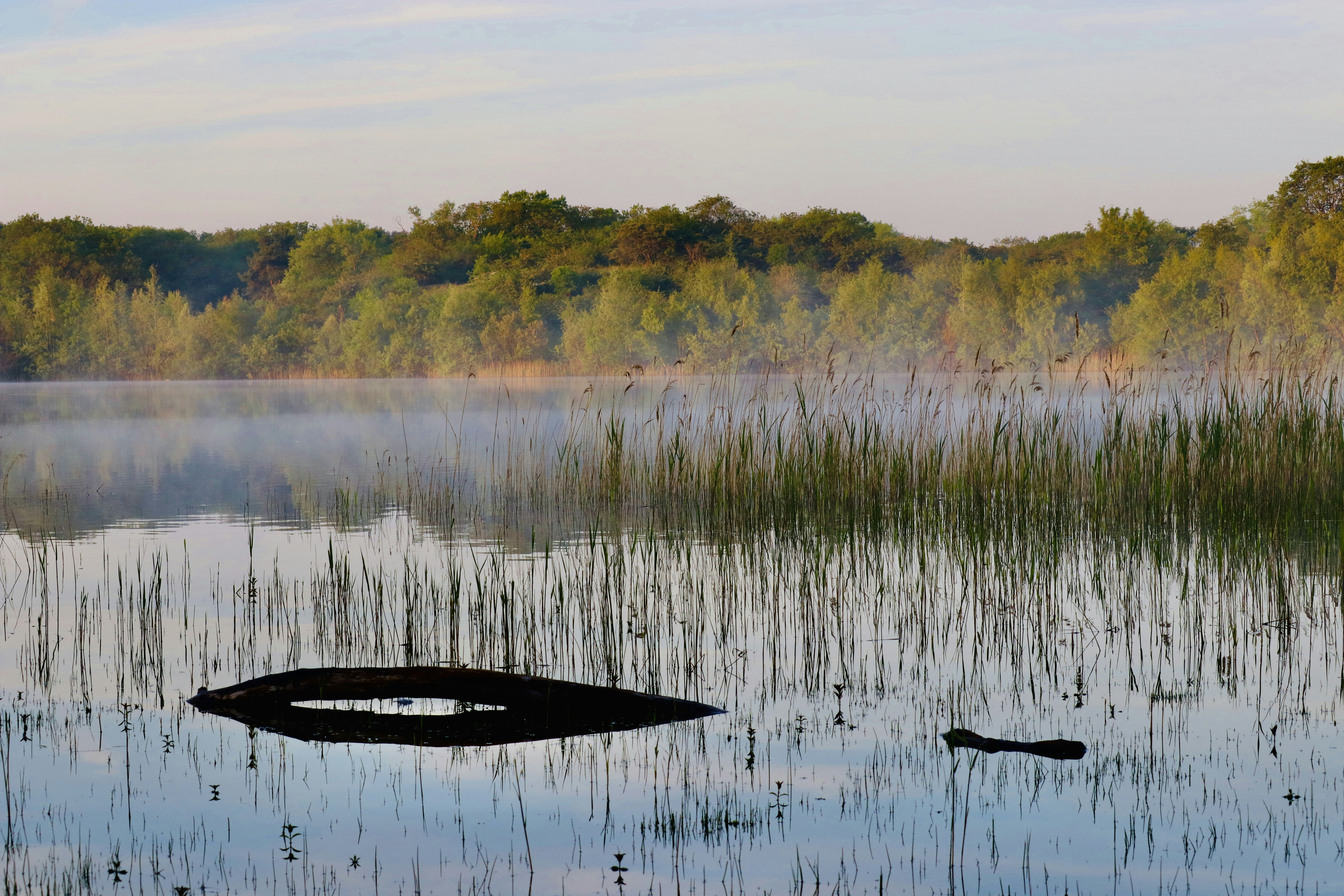 specchio d'acqua vicino ad alberi verdi e marroni durante il giorno