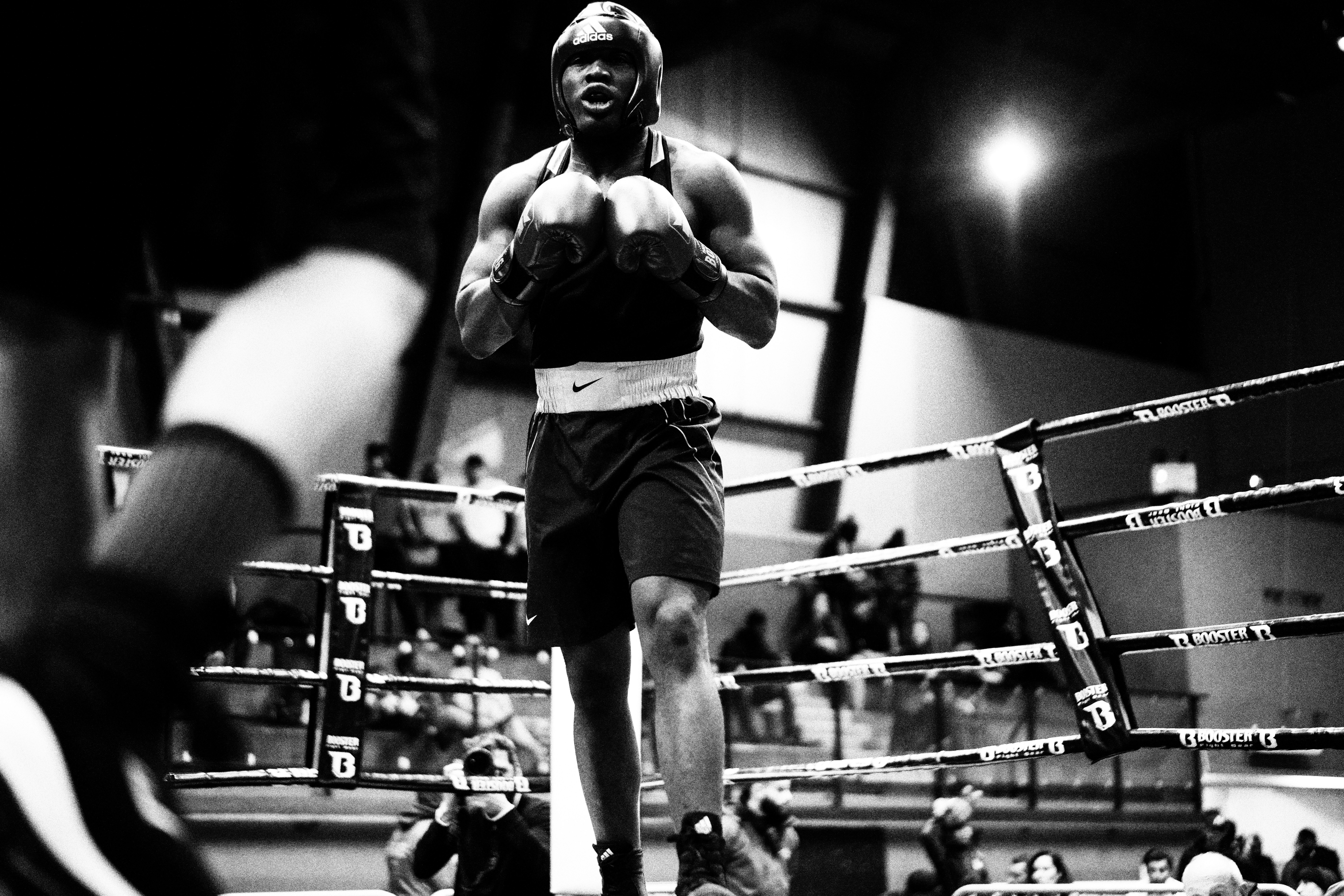 Los 10 Mejores Boxeadores de la Historia