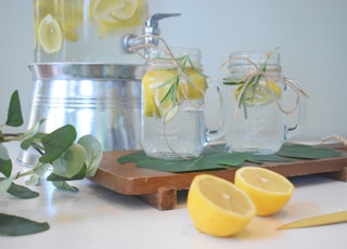 Lemon, Lime, Water, Palm Leaf, Rosemary