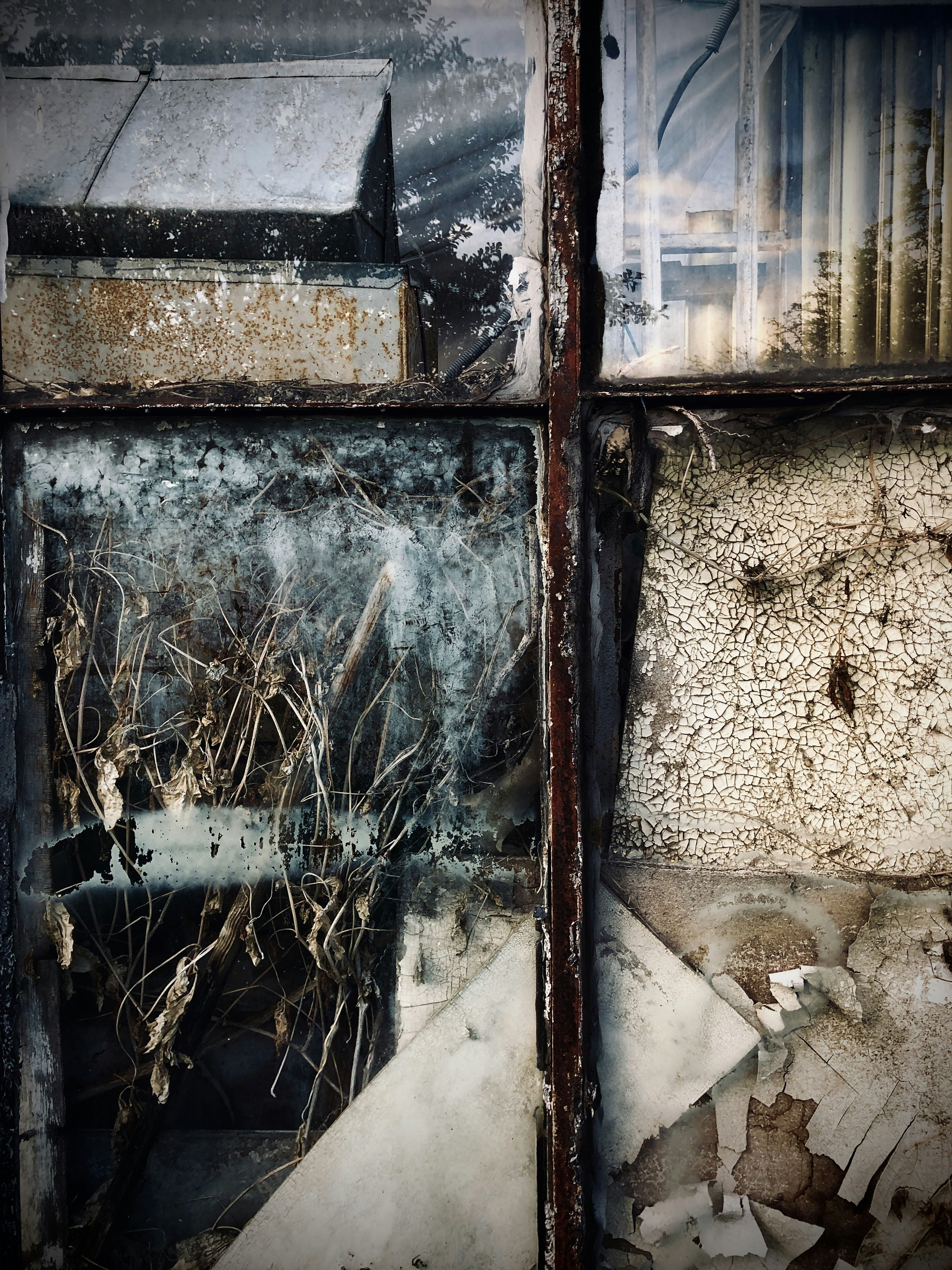 Photo by dimastrizhak