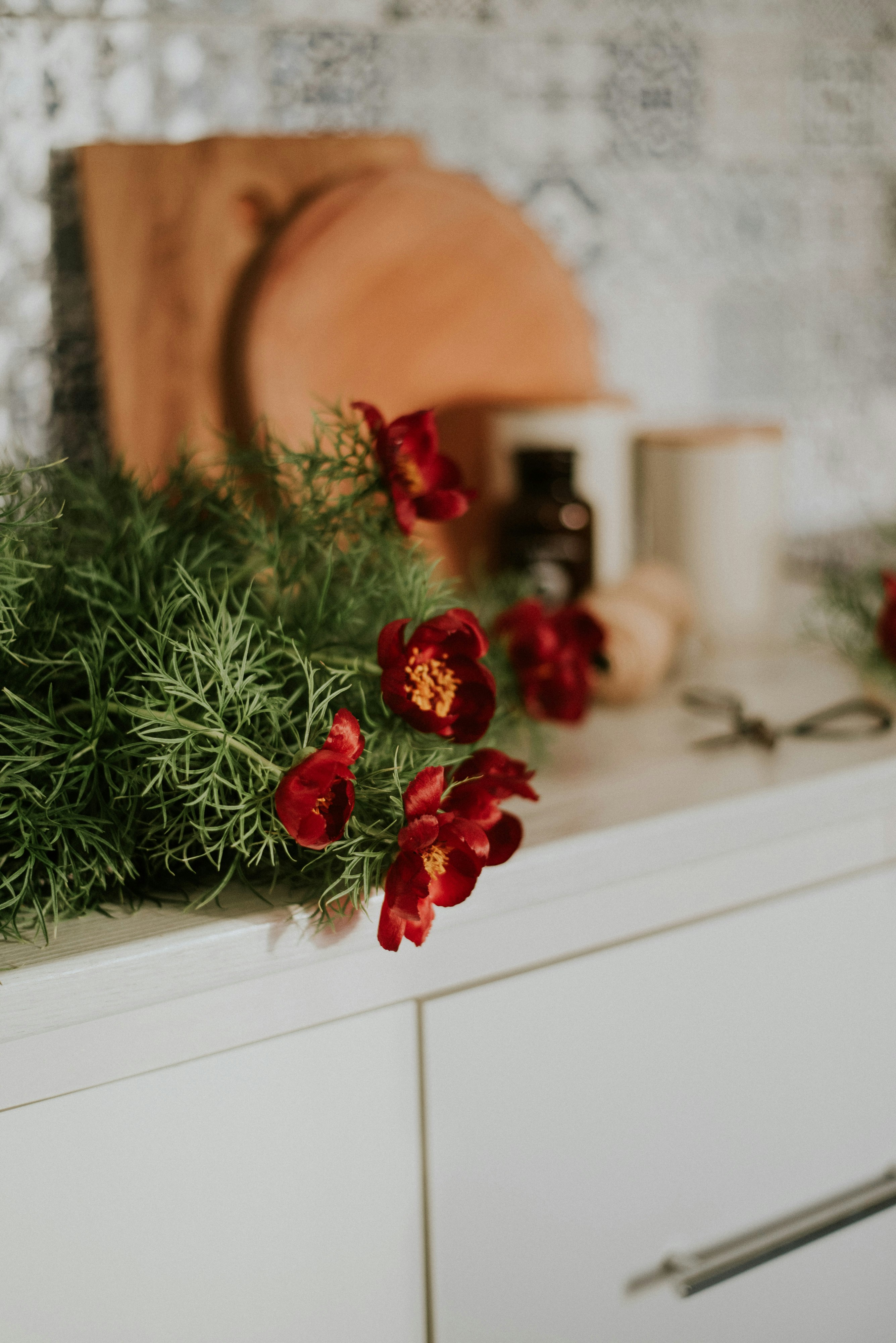 Photo by shadrinaphotography