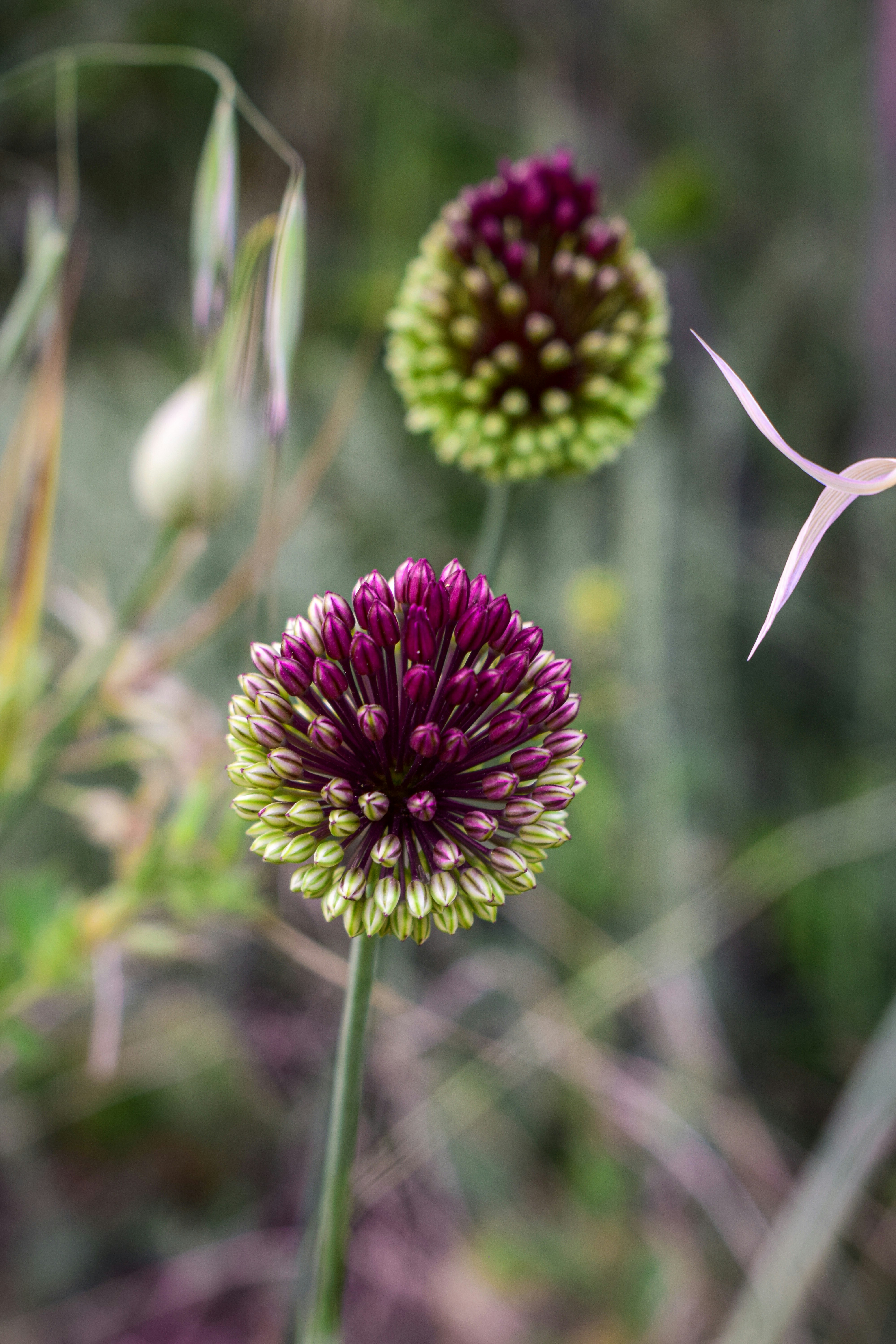 Photo by alexandre13