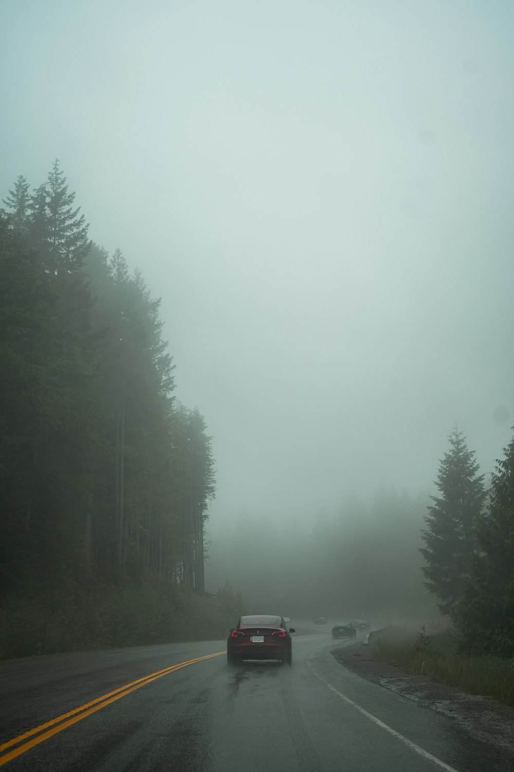 red car on road between green trees