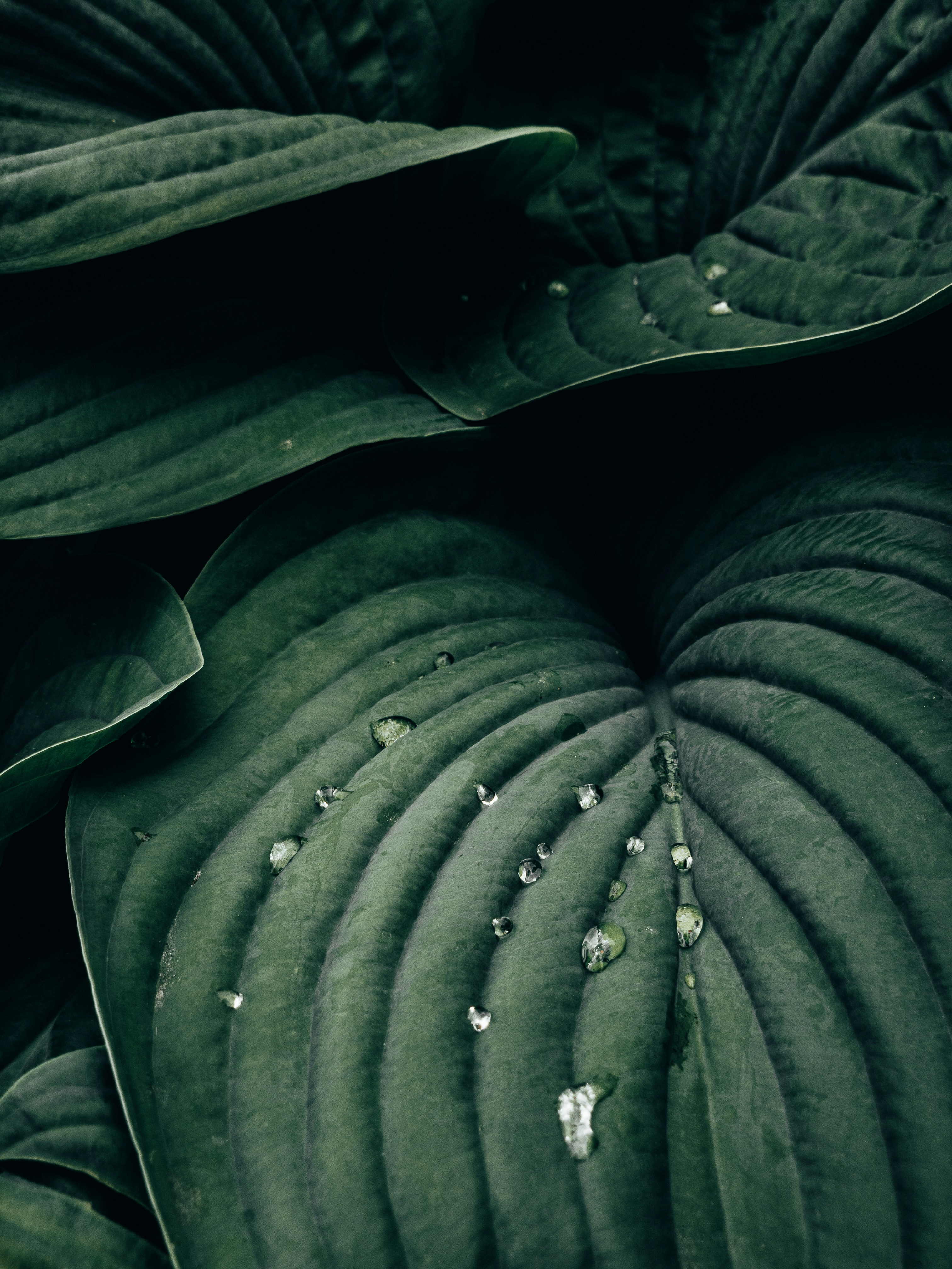 Photo by adityachinchure