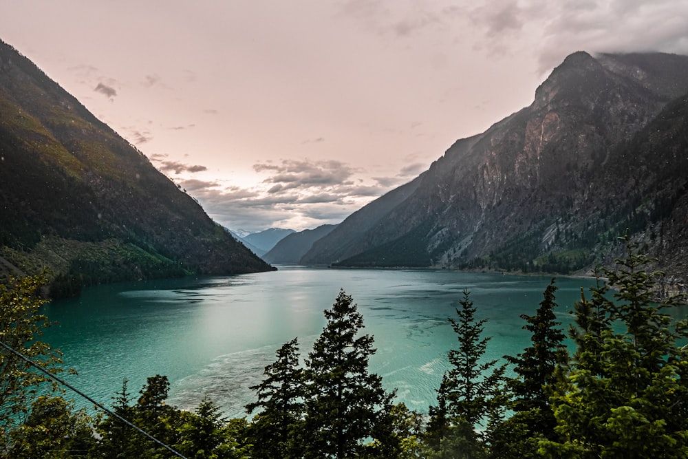 green trees near lake and mountains during daytime