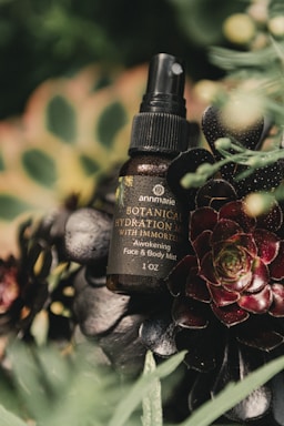 Sustainable, ethical, marketing, branding. brands. 