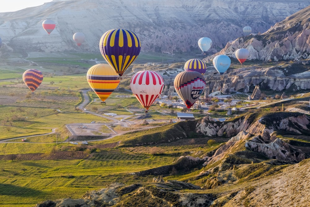 hot air balloons on green grass field during daytime
