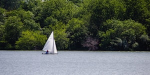 A small sailboat with a white sail glides across a wide expanse of water. The background features dense green foliage of trees, creating a vibrant natural setting.