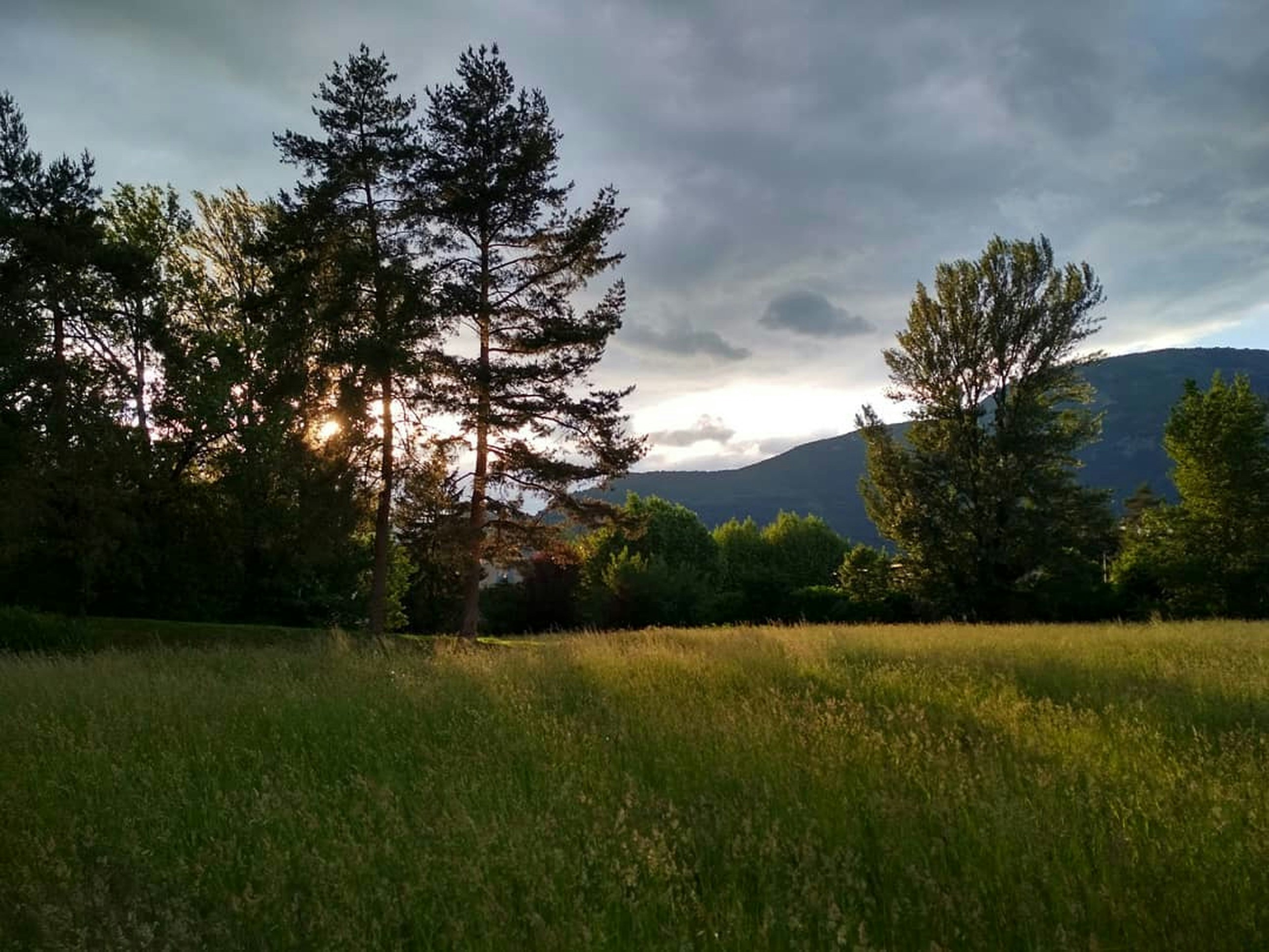 Photo by picturesquevlc