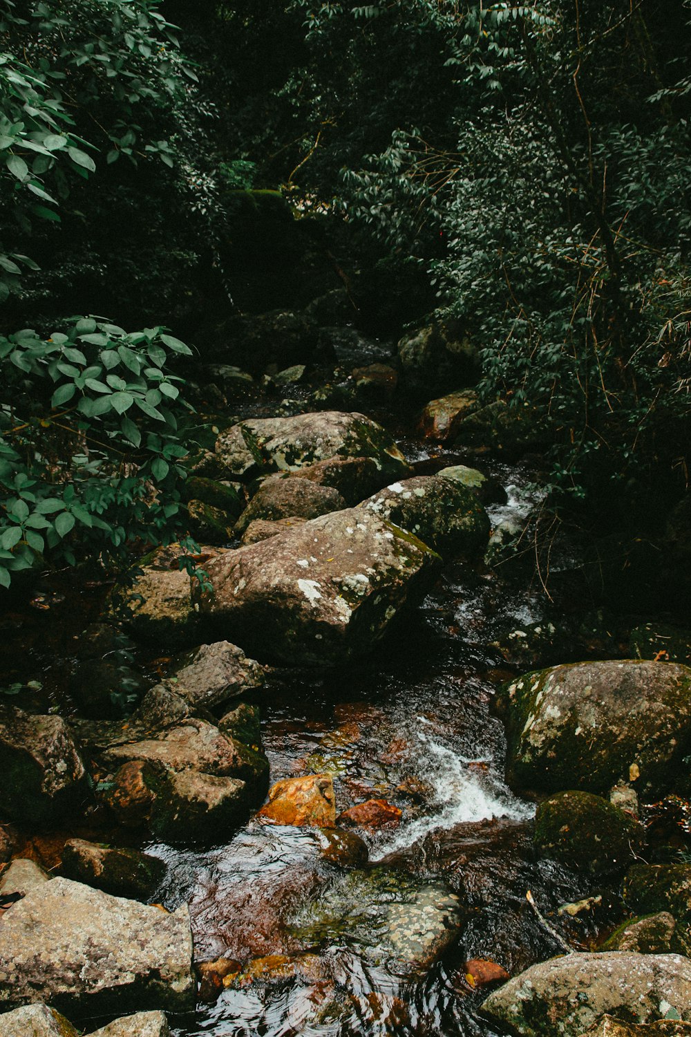 Felsiger Fluss mit Felsen und grünem Moos
