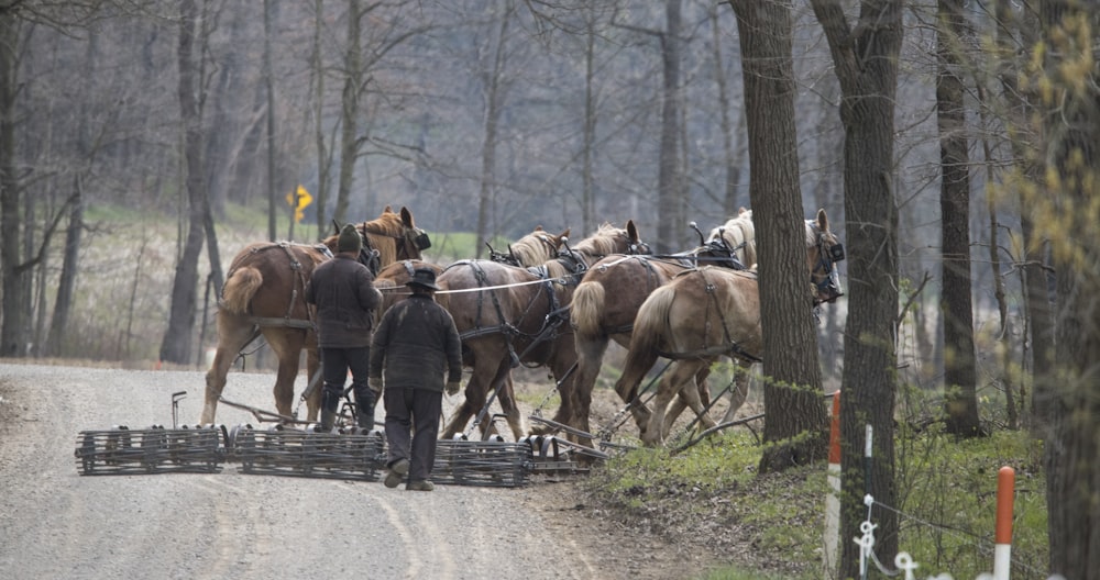 people walking on road with horses during daytime