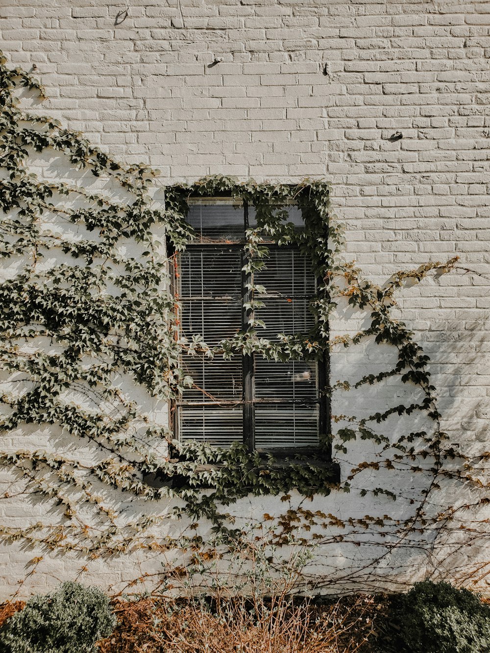 black wooden window on white brick wall