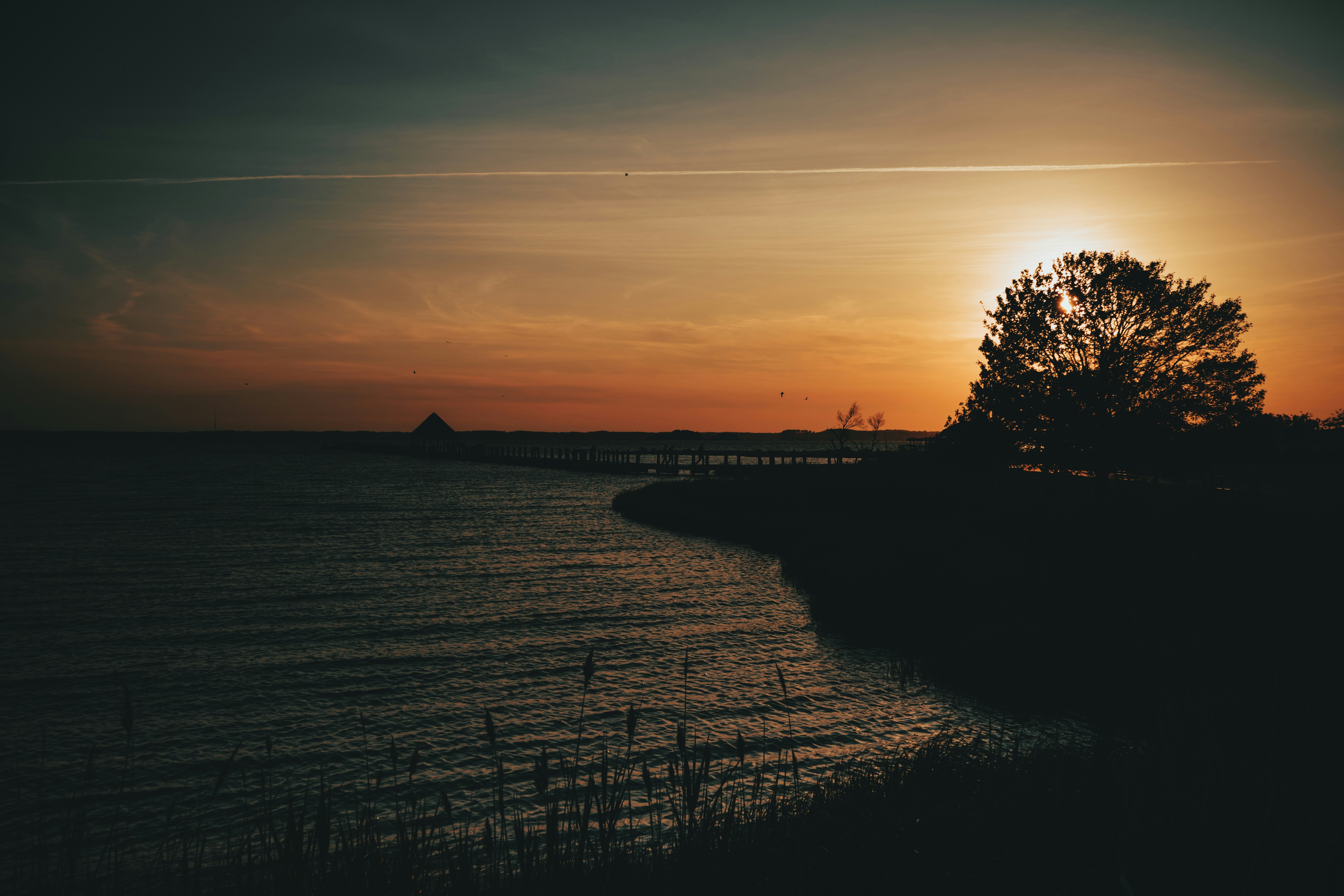 Photo by chrishardyphotography