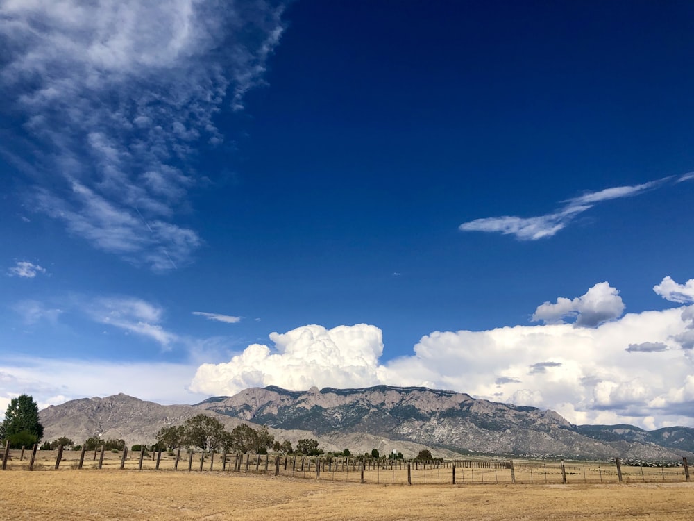 green grass field near mountain under blue sky during daytime