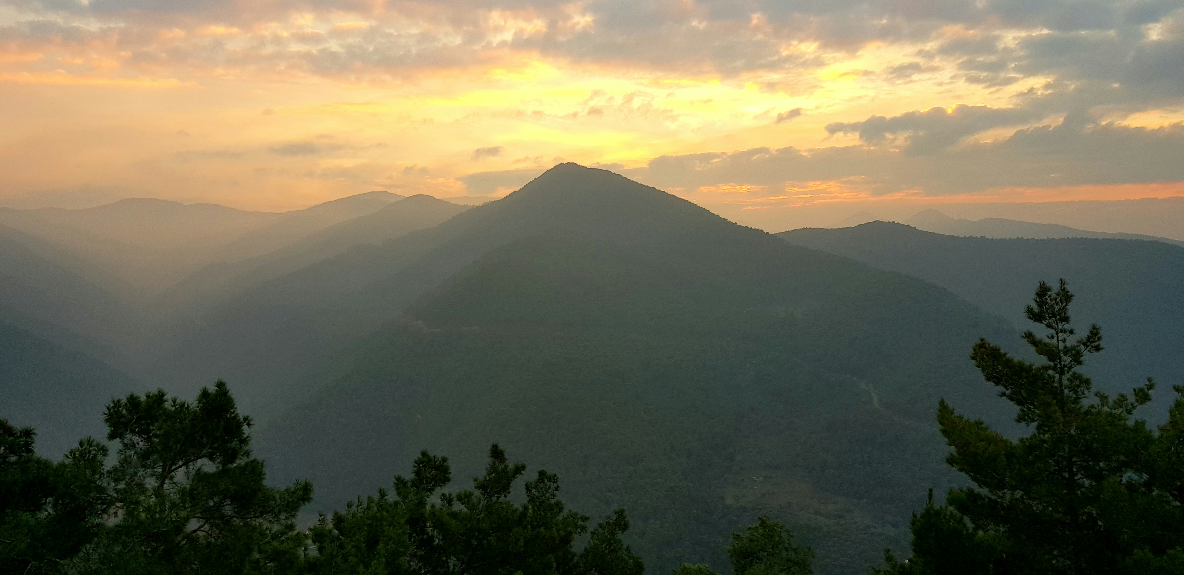 green trees and mountain during sunset