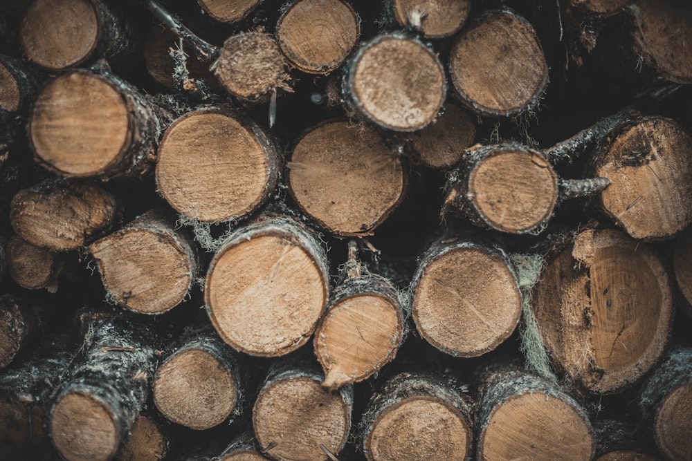 brown and black wood logs