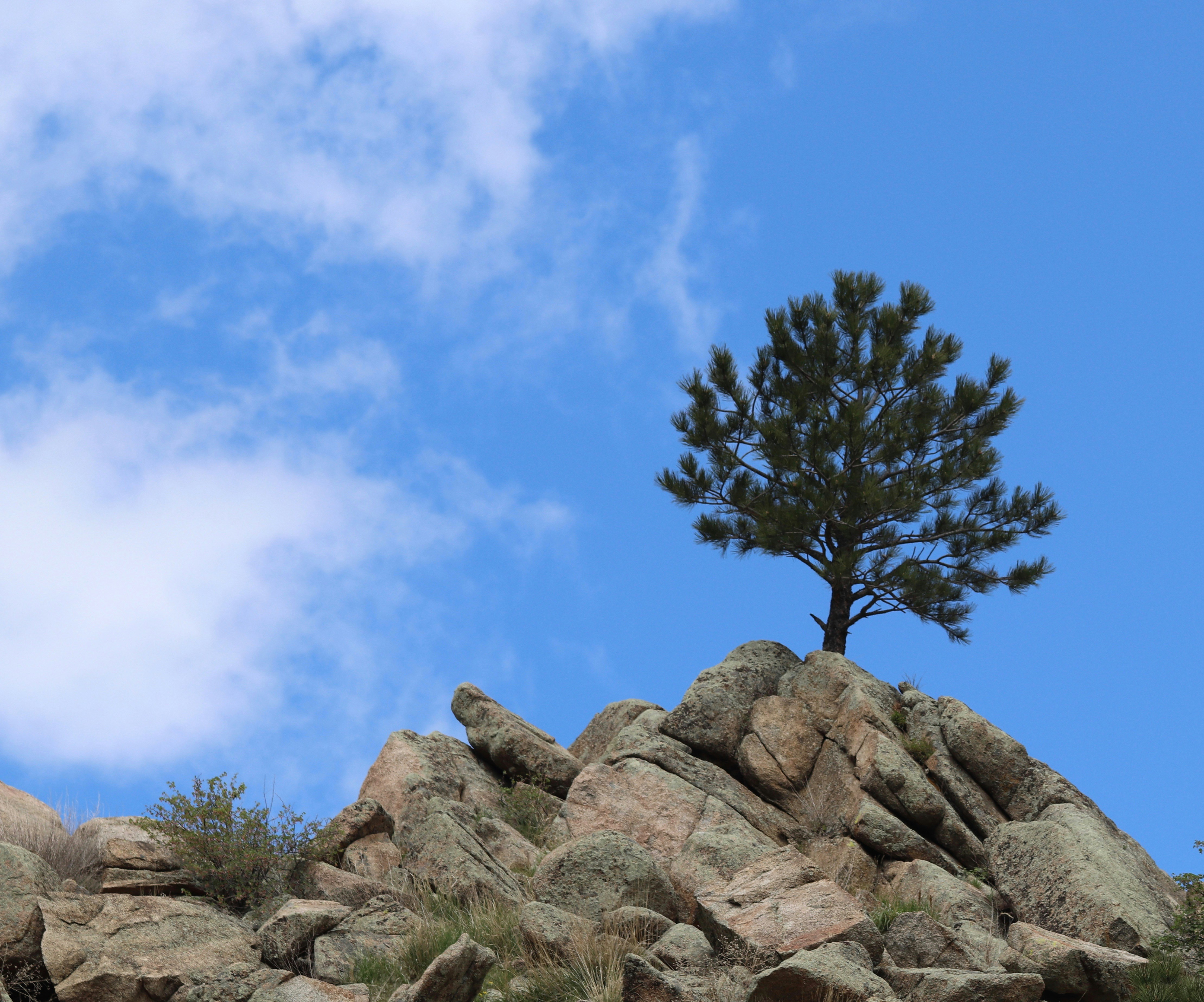 Photo by superdogsocial