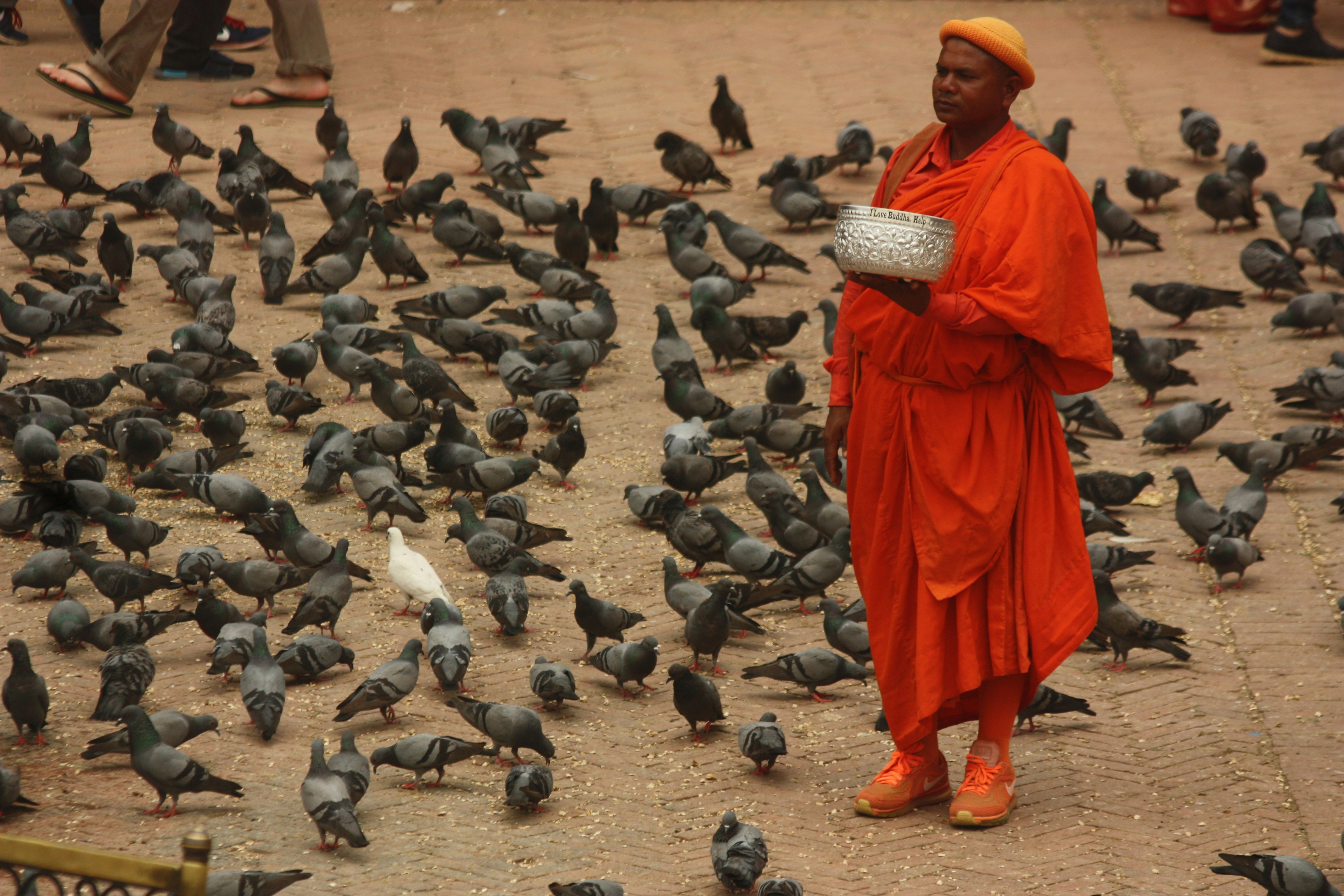 woman in red robe standing in front of flock of birds
