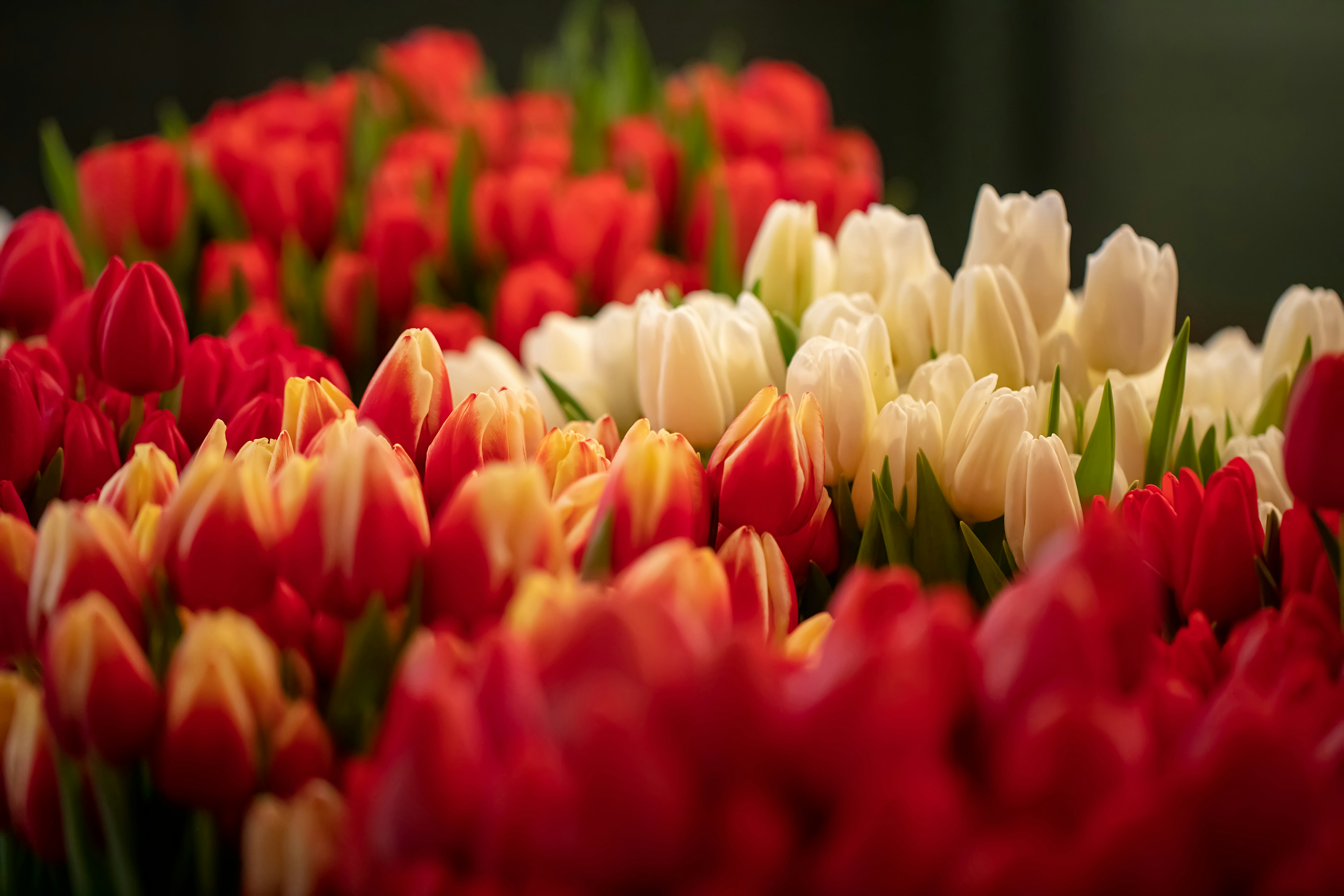 Photo by billstephan