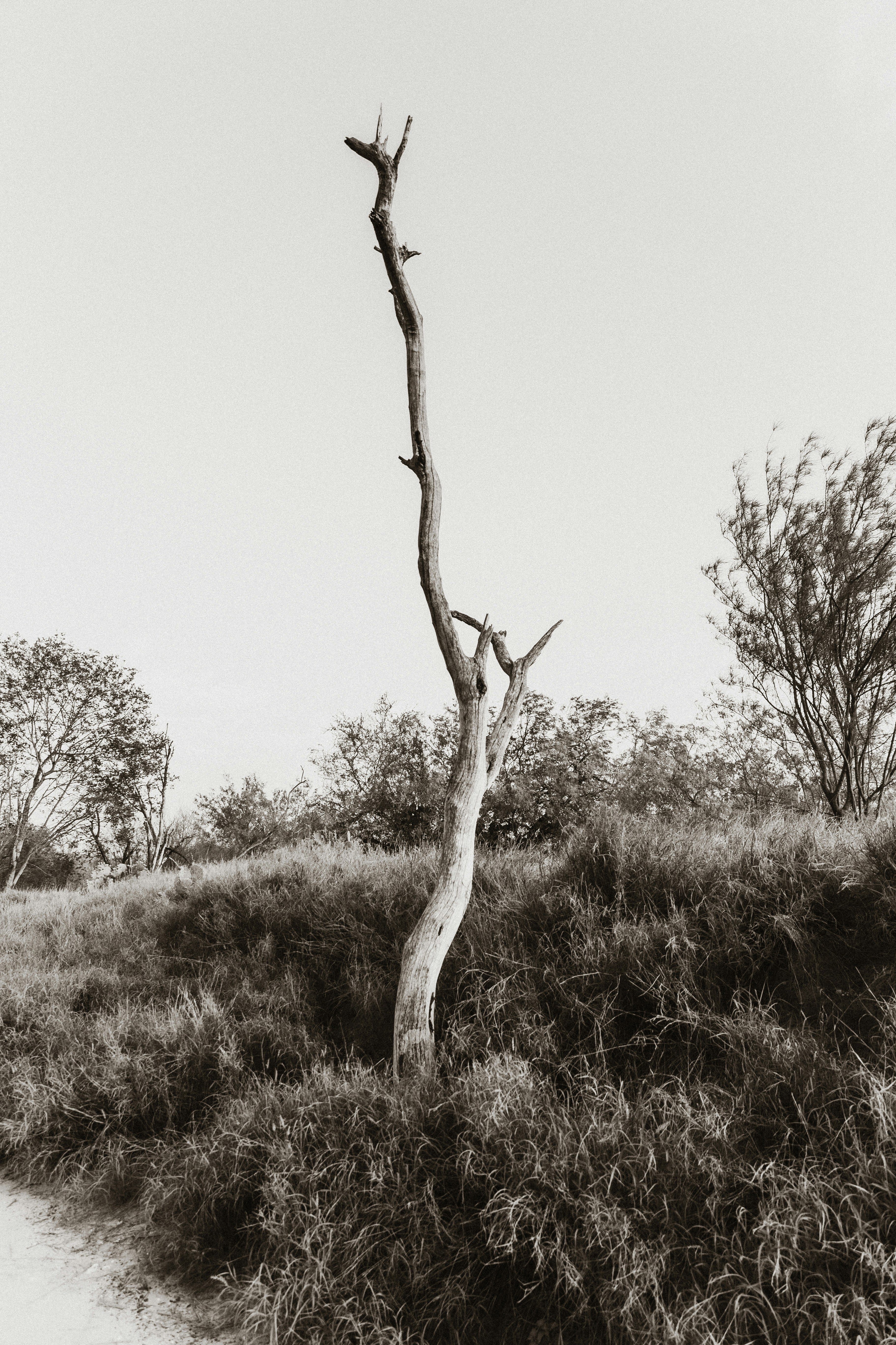 Photo by benignohoyuela