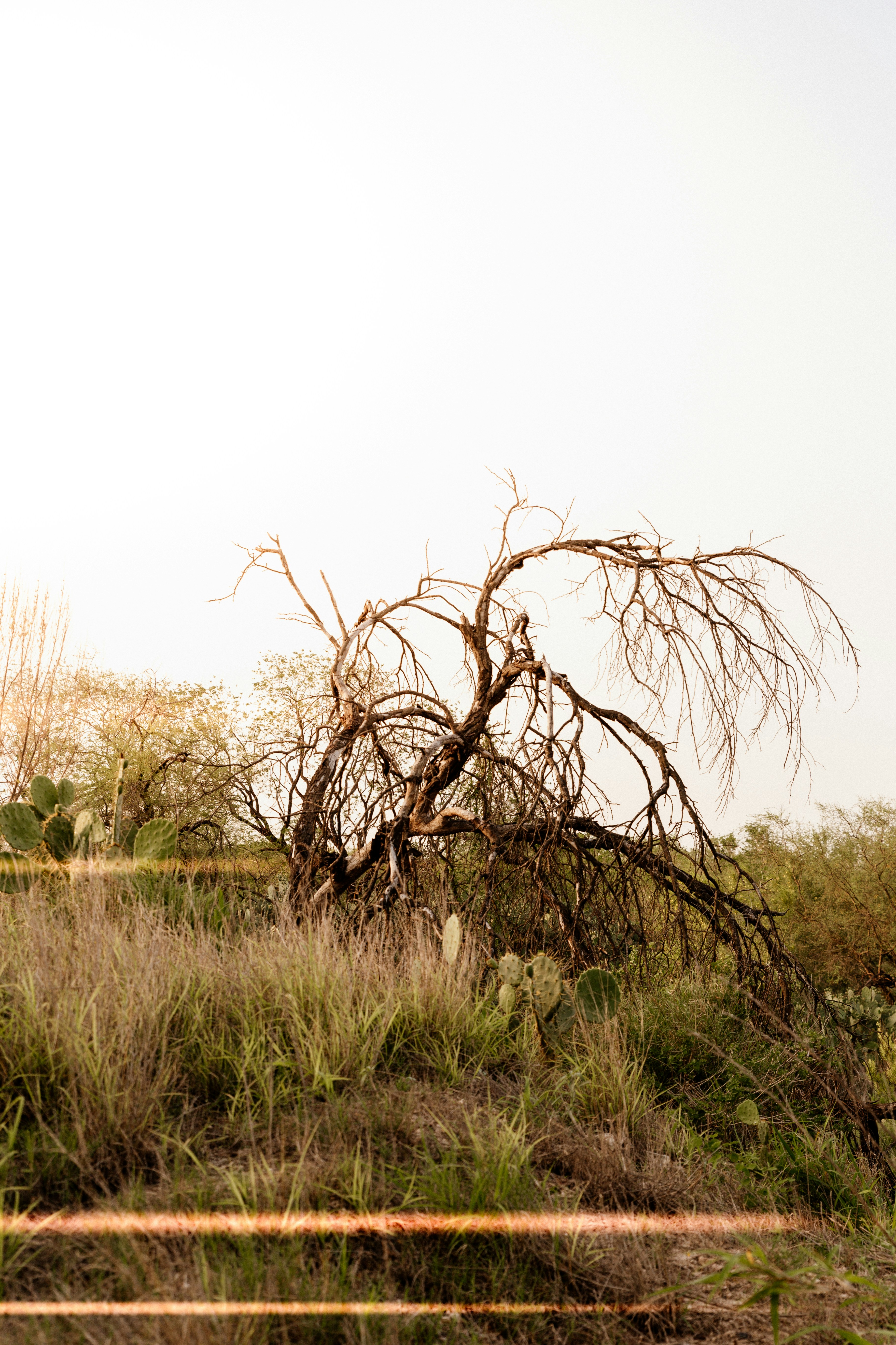 Photo by benignohoyuela